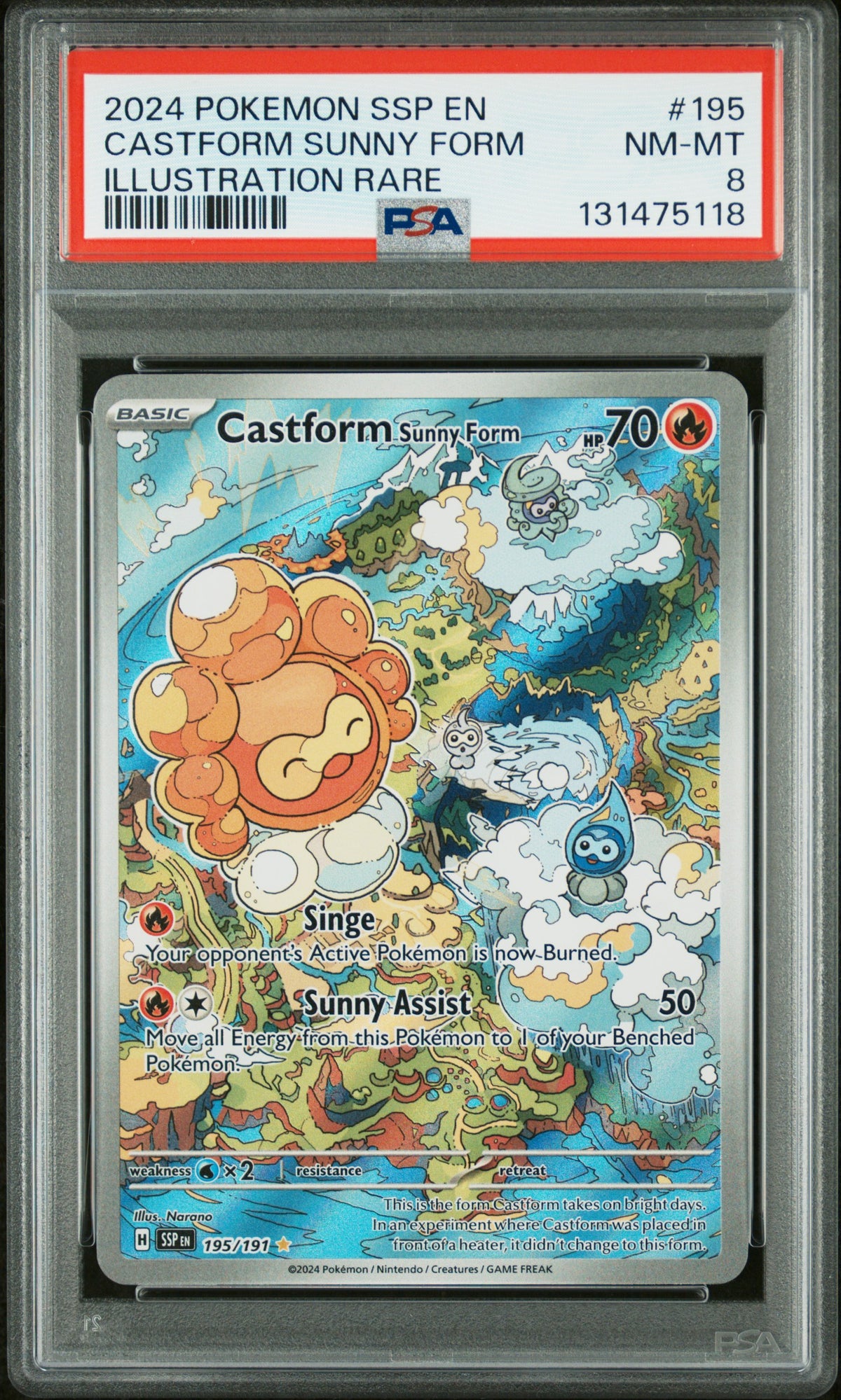 CASTFORM SUNNY FORM