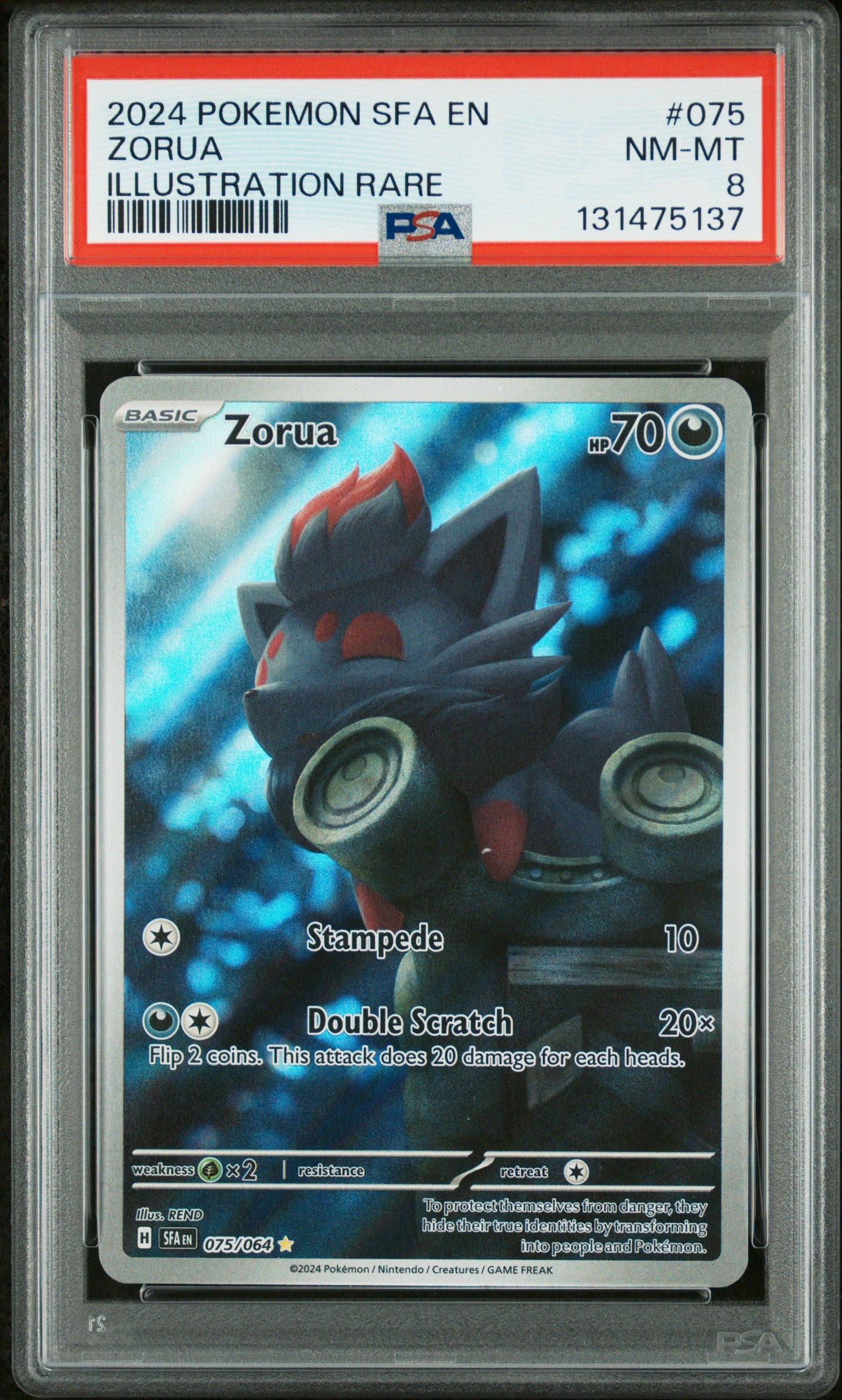 ZORUA