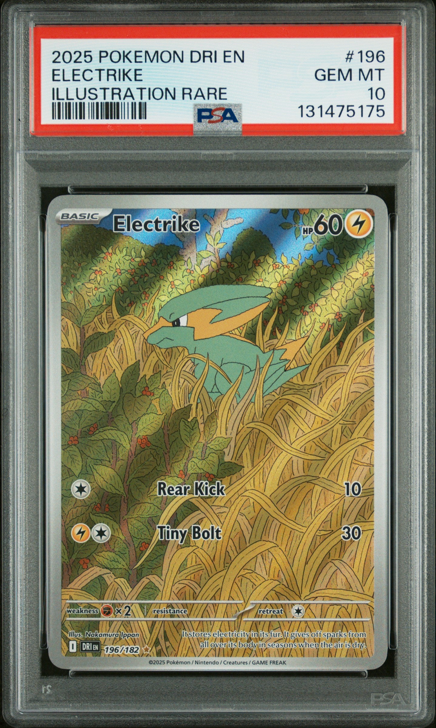 ELECTRIKE