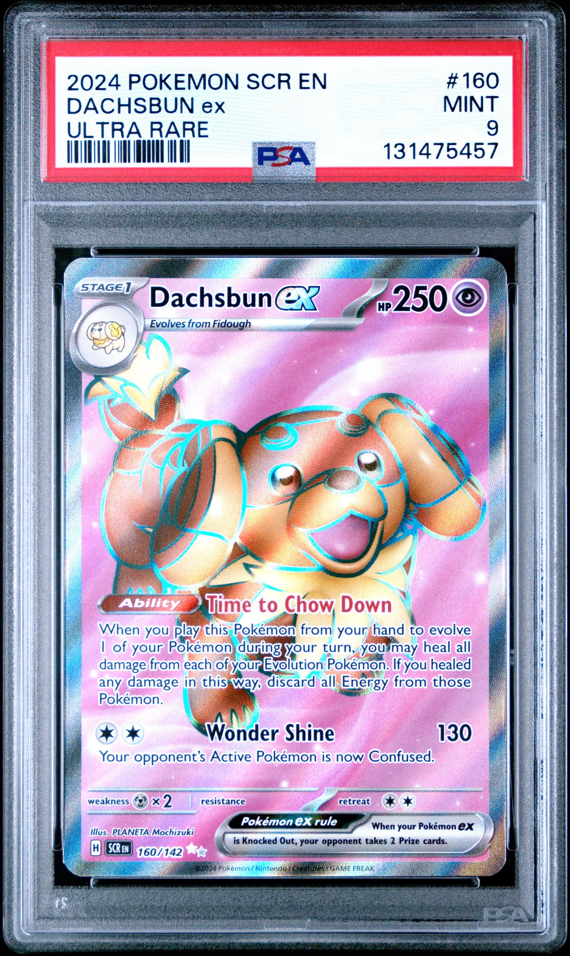 DACHSBUN ex