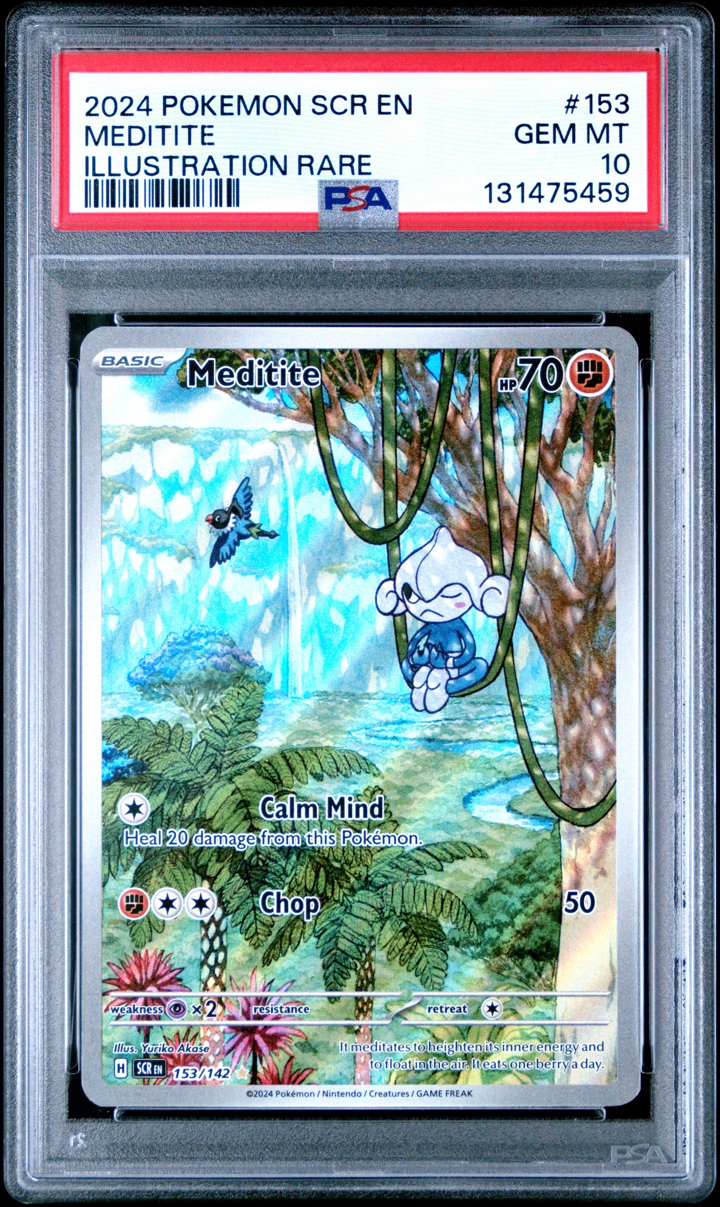 MEDITITE