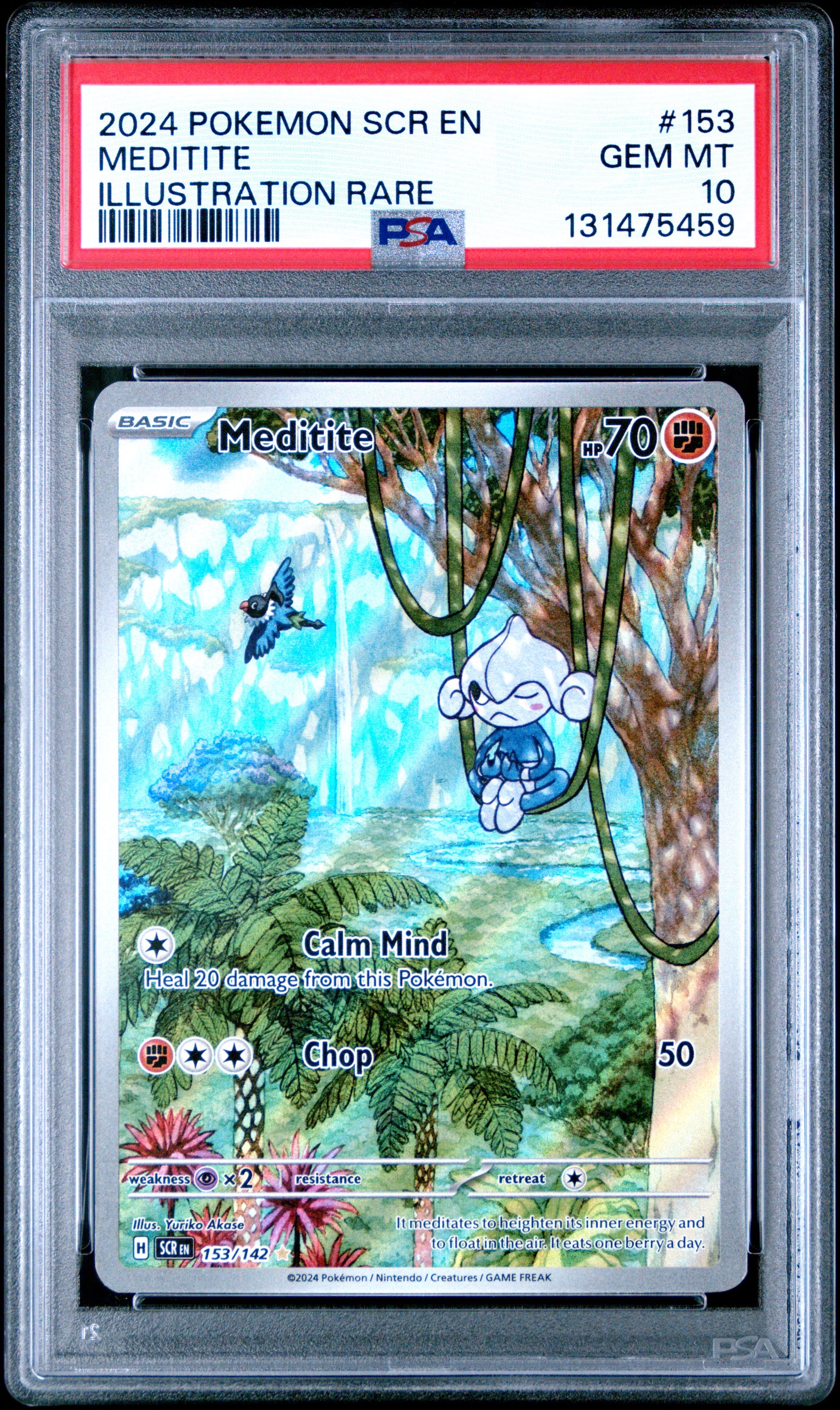 MEDITITE