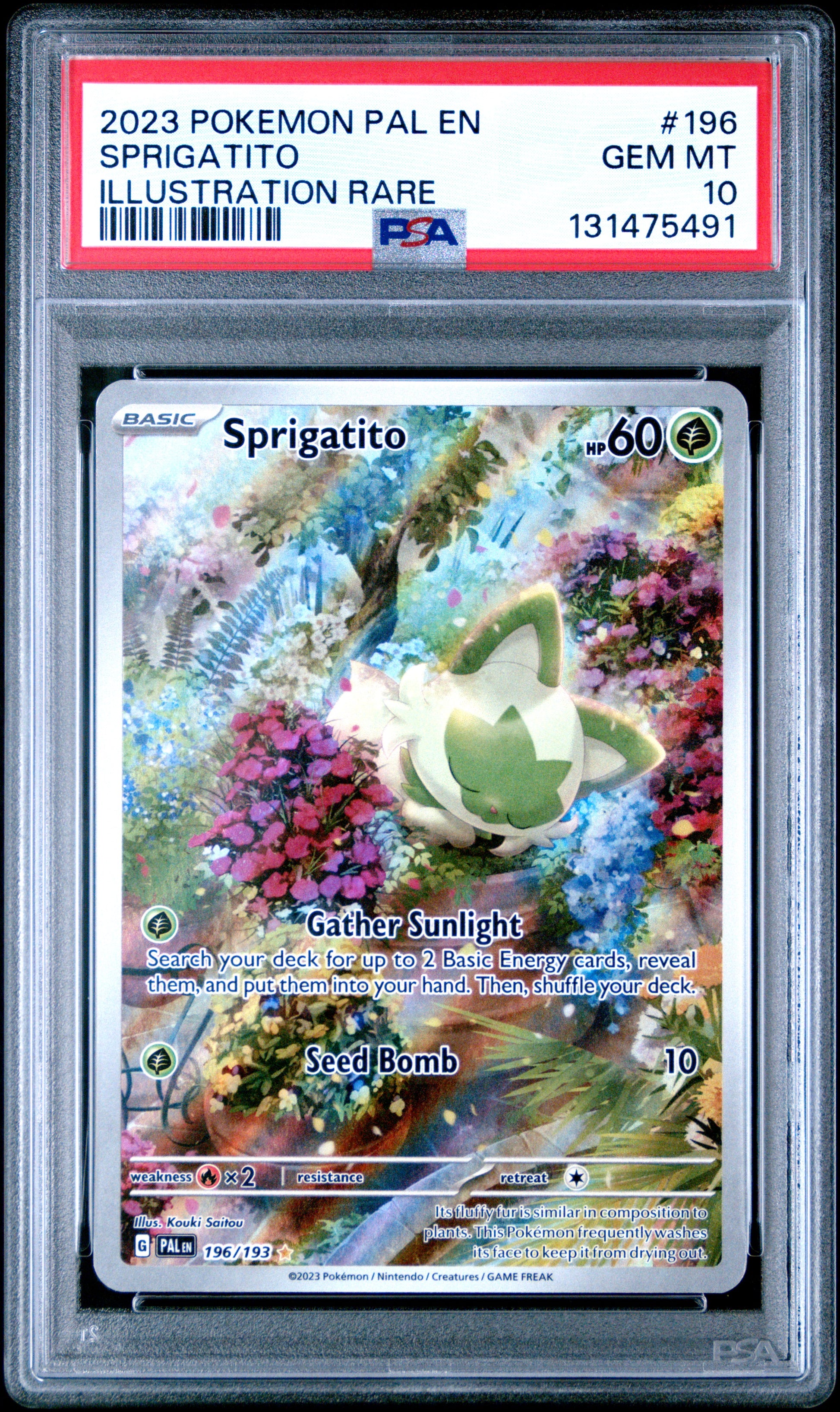 SPRIGATITO