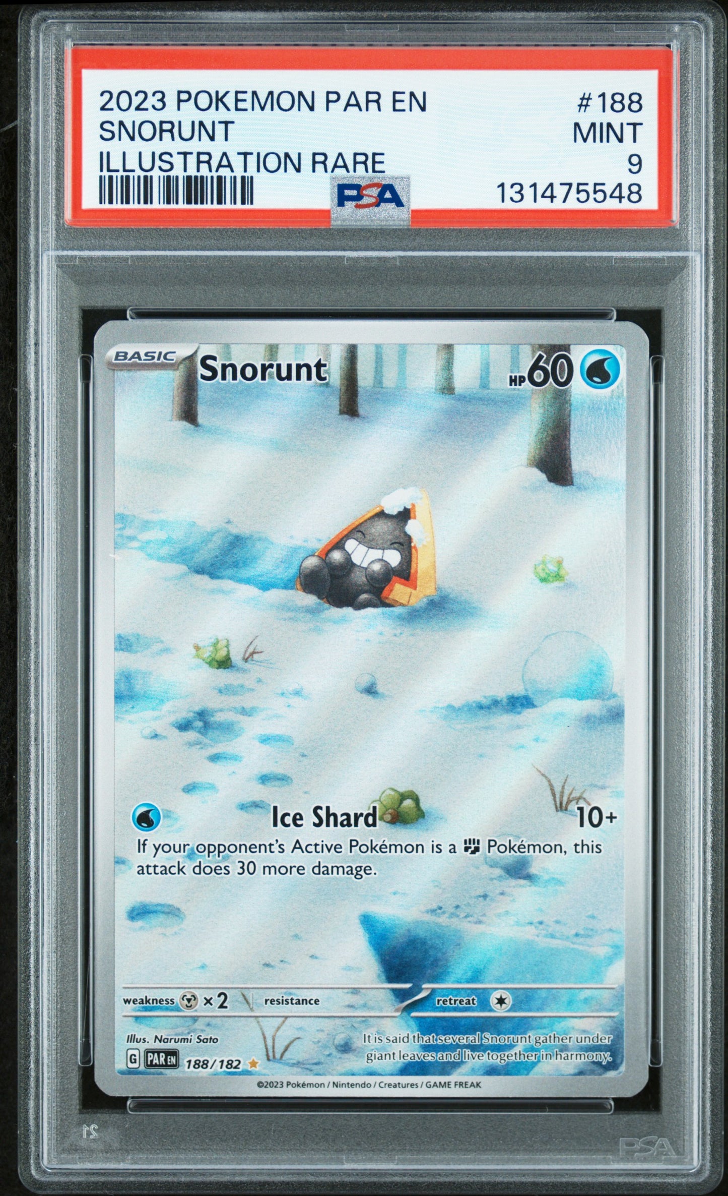 SNORUNT