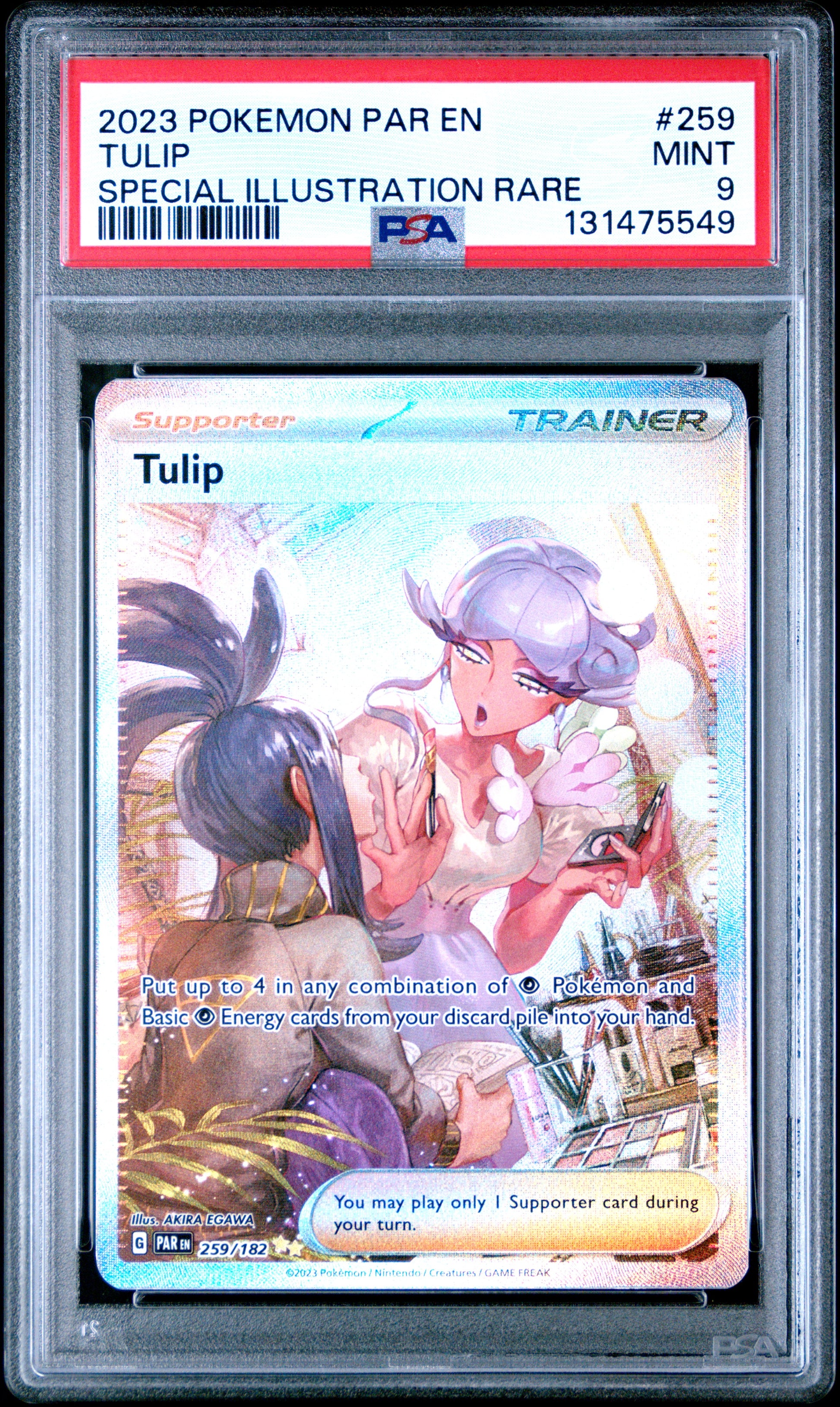 TULIP