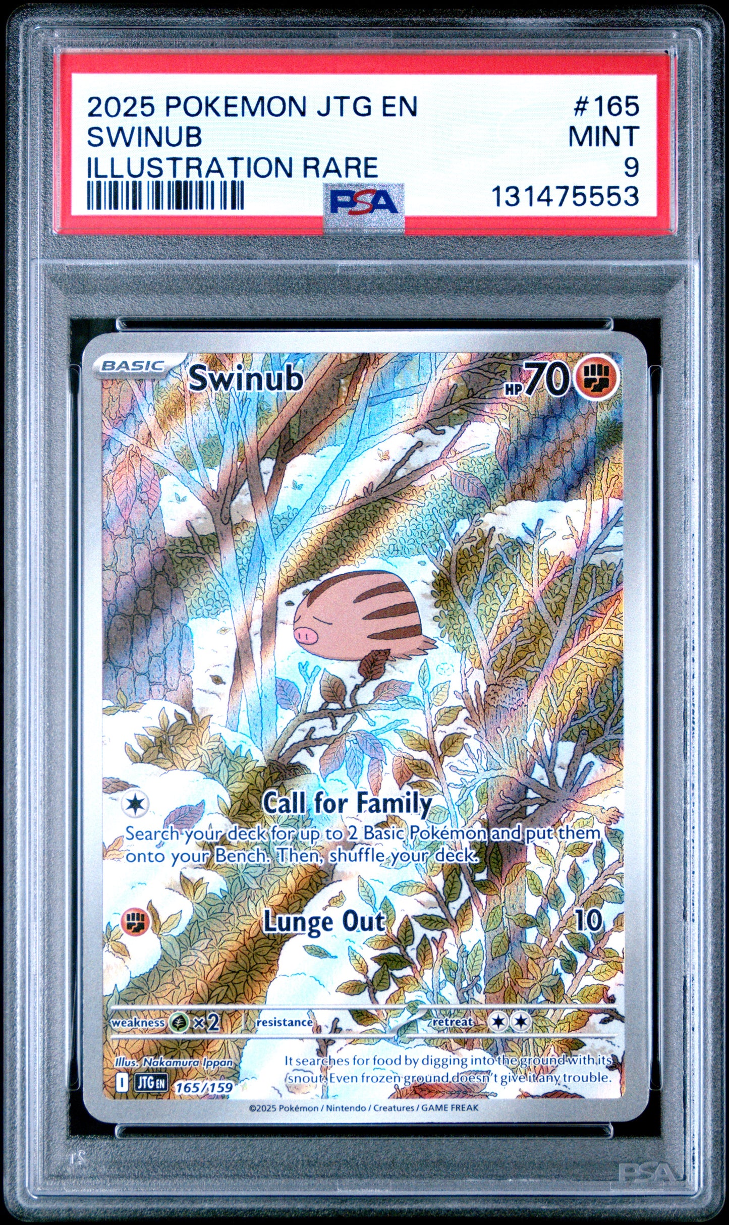 SWINUB