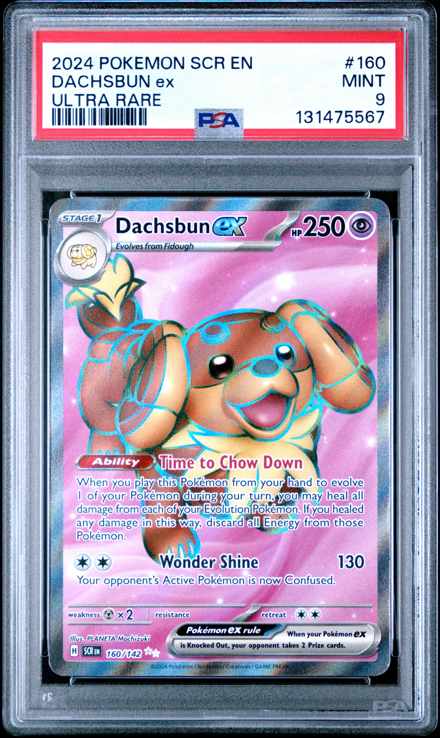 DACHSBUN ex