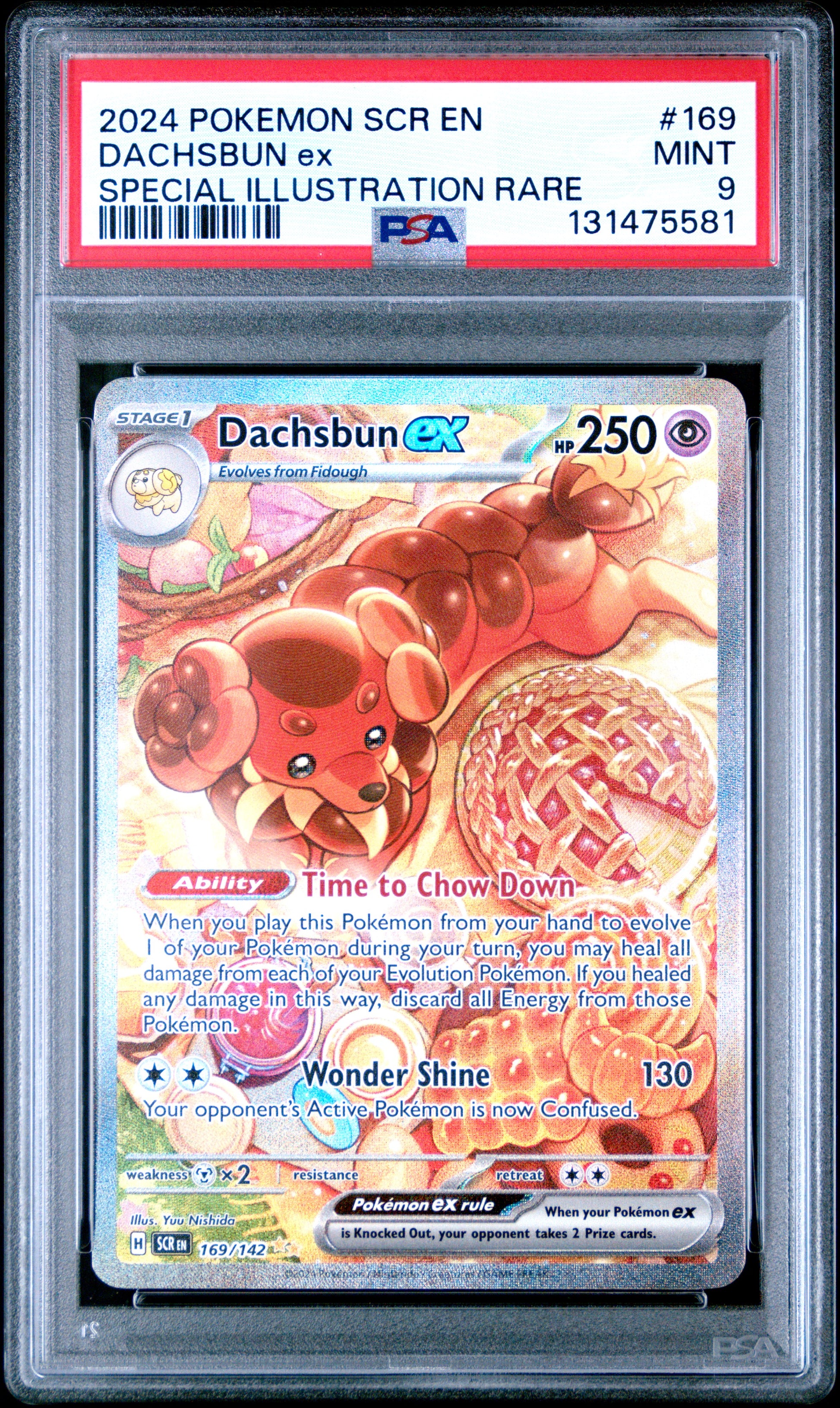 DACHSBUN ex