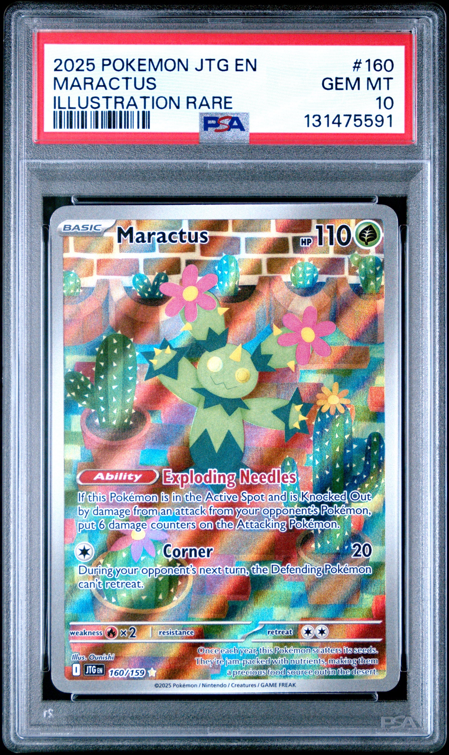 MARACTUS