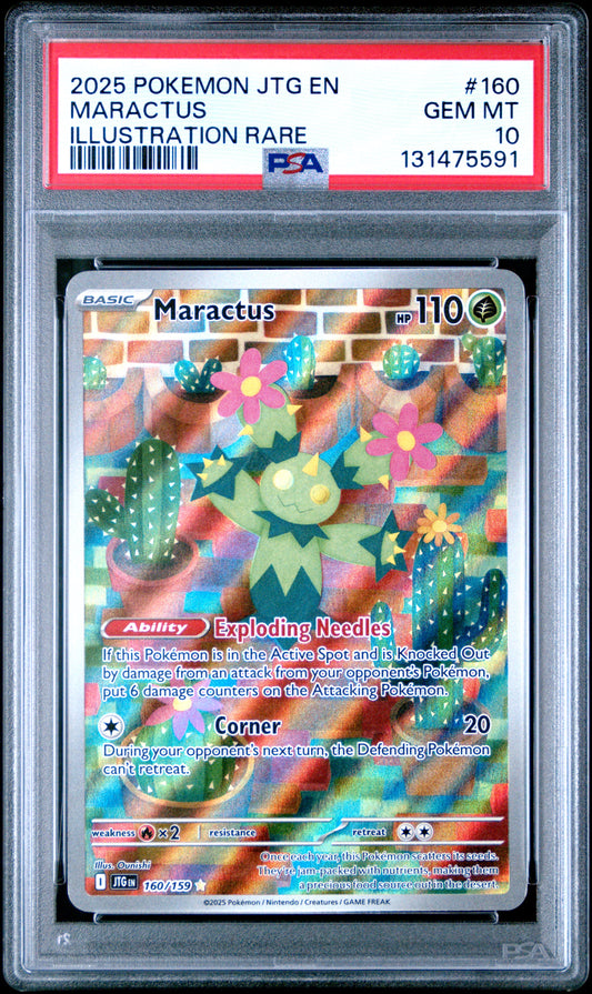 MARACTUS