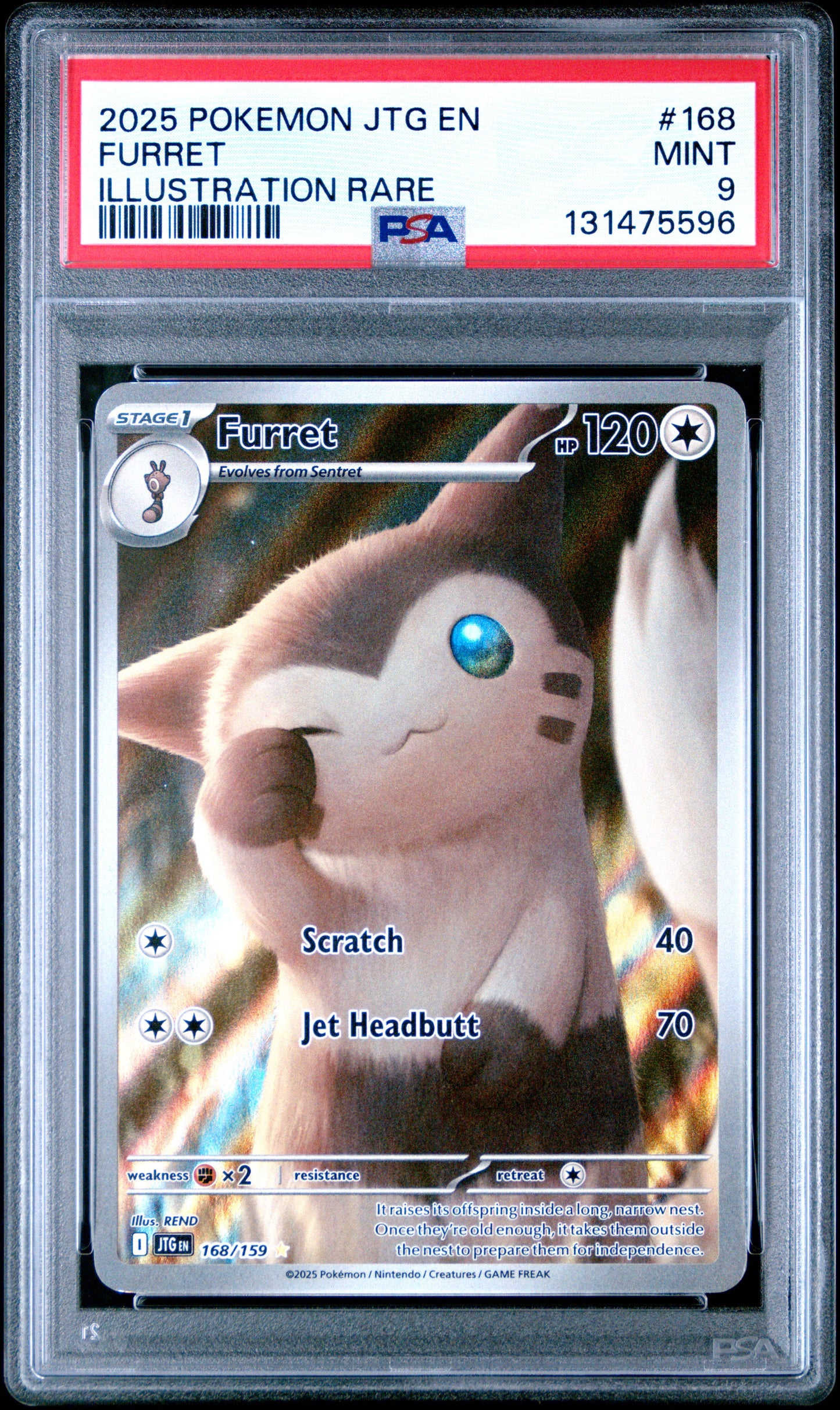 FURRET