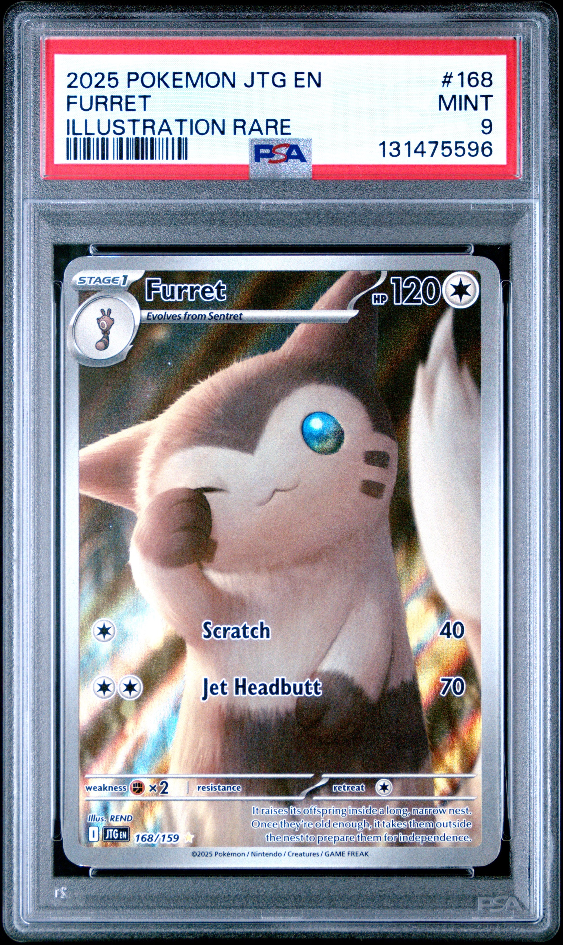FURRET