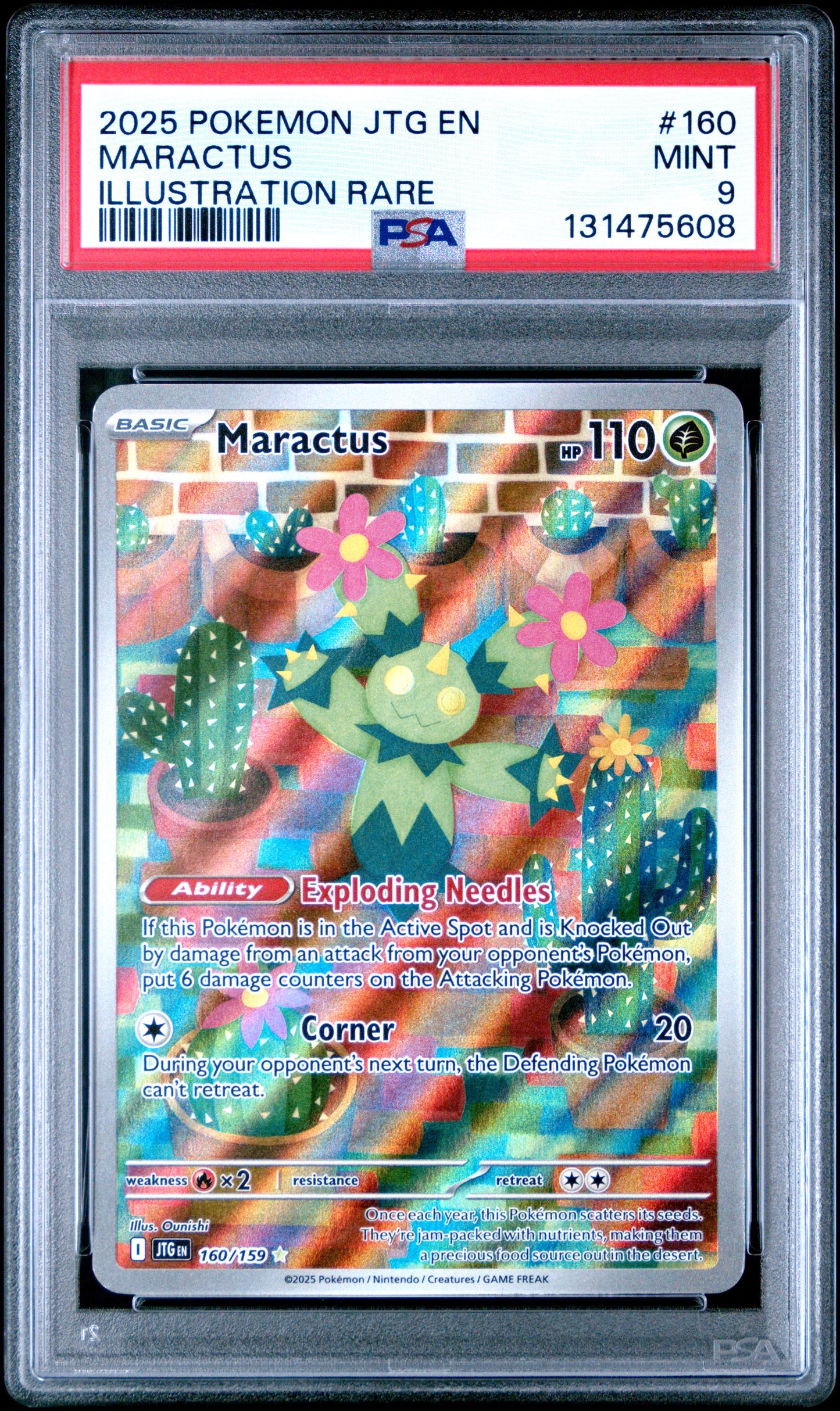 MARACTUS