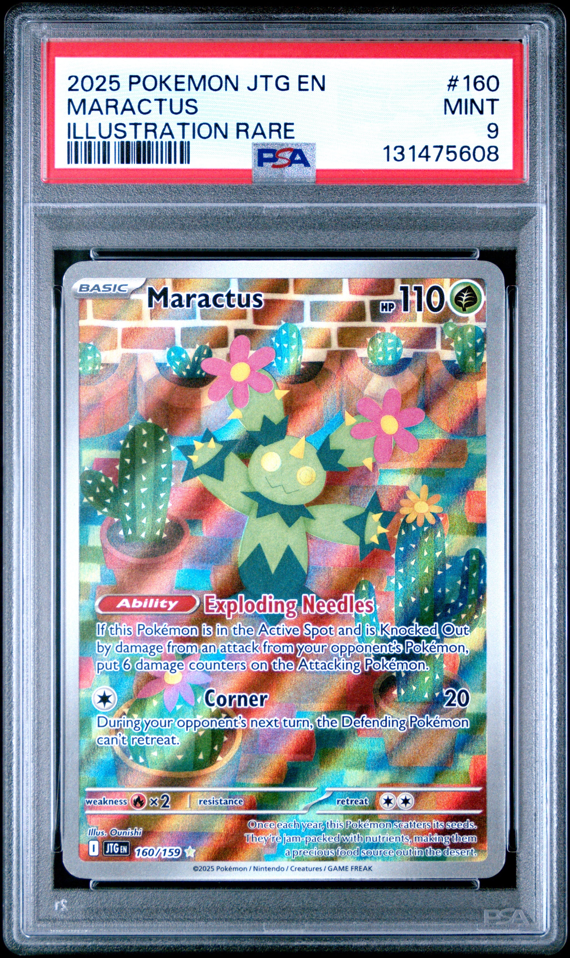 MARACTUS