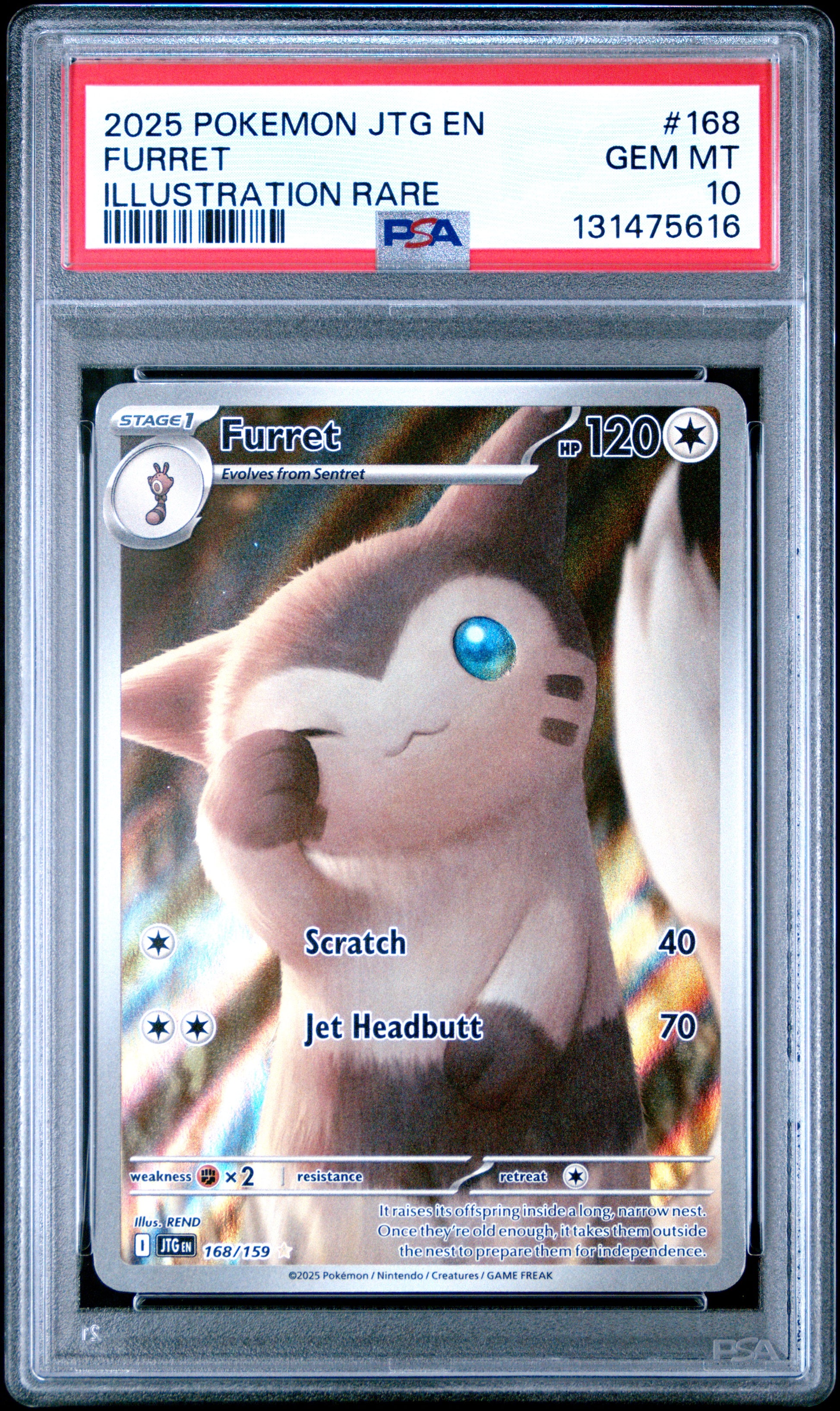 FURRET