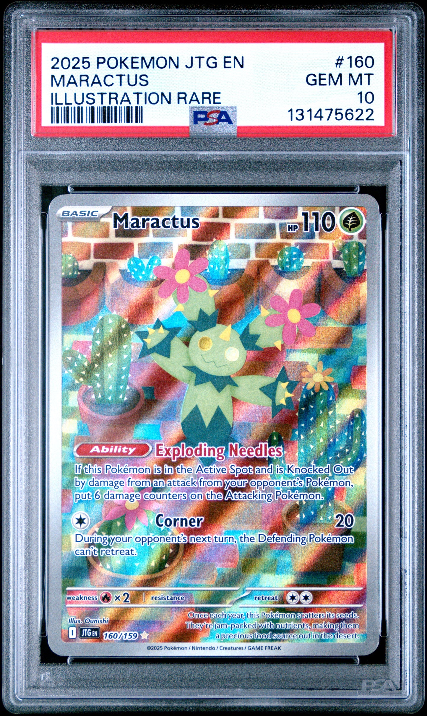 MARACTUS