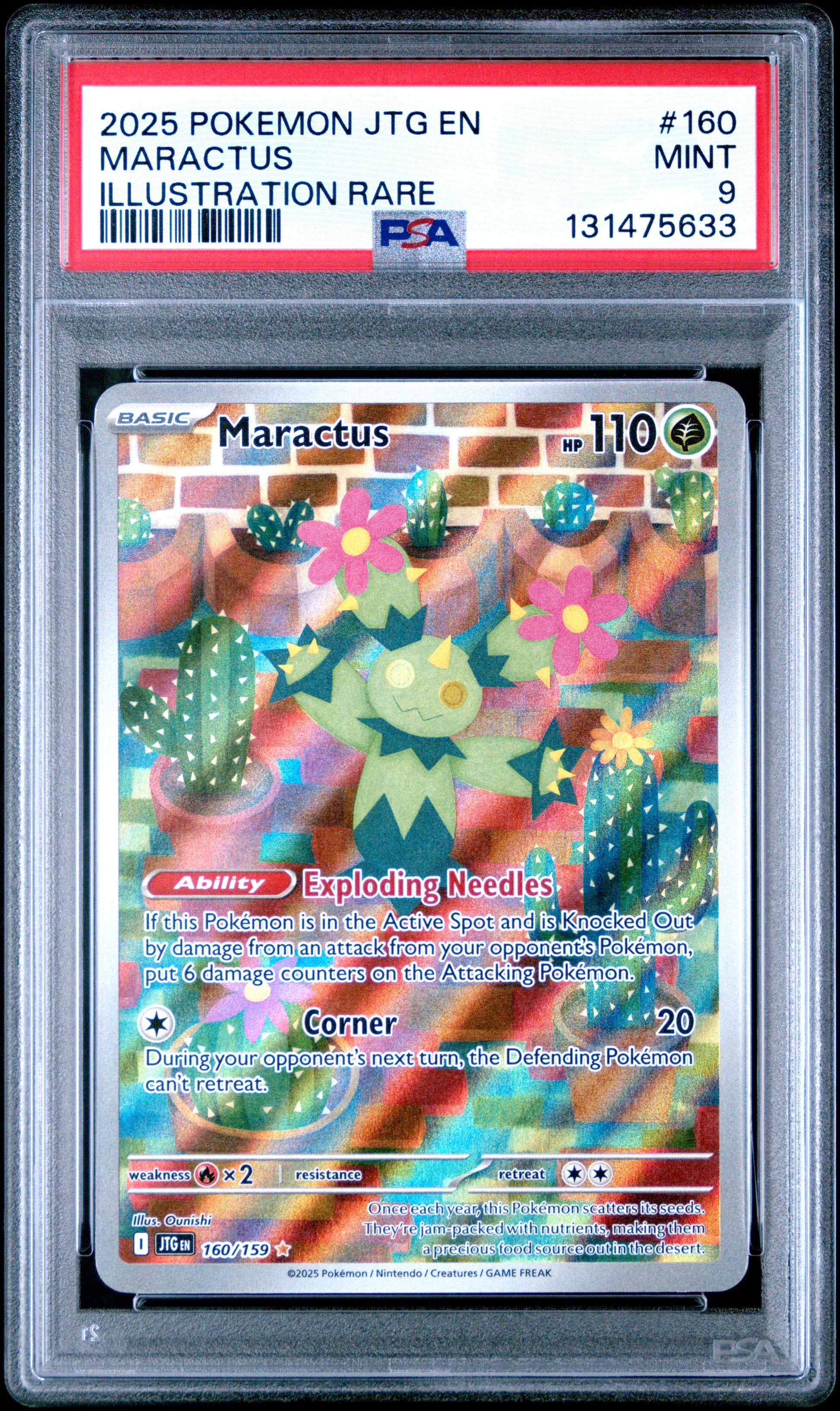 MARACTUS