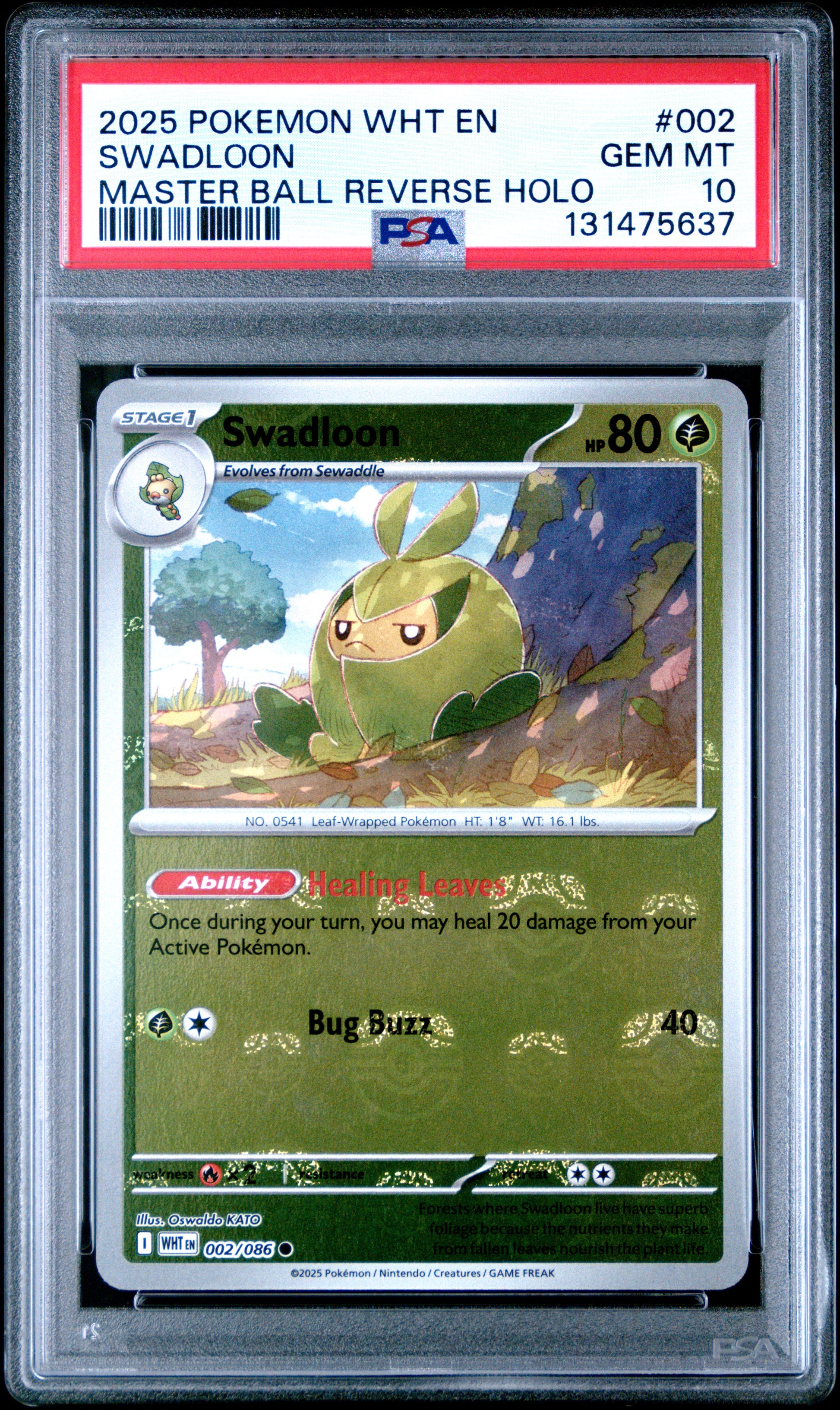 SWADLOON