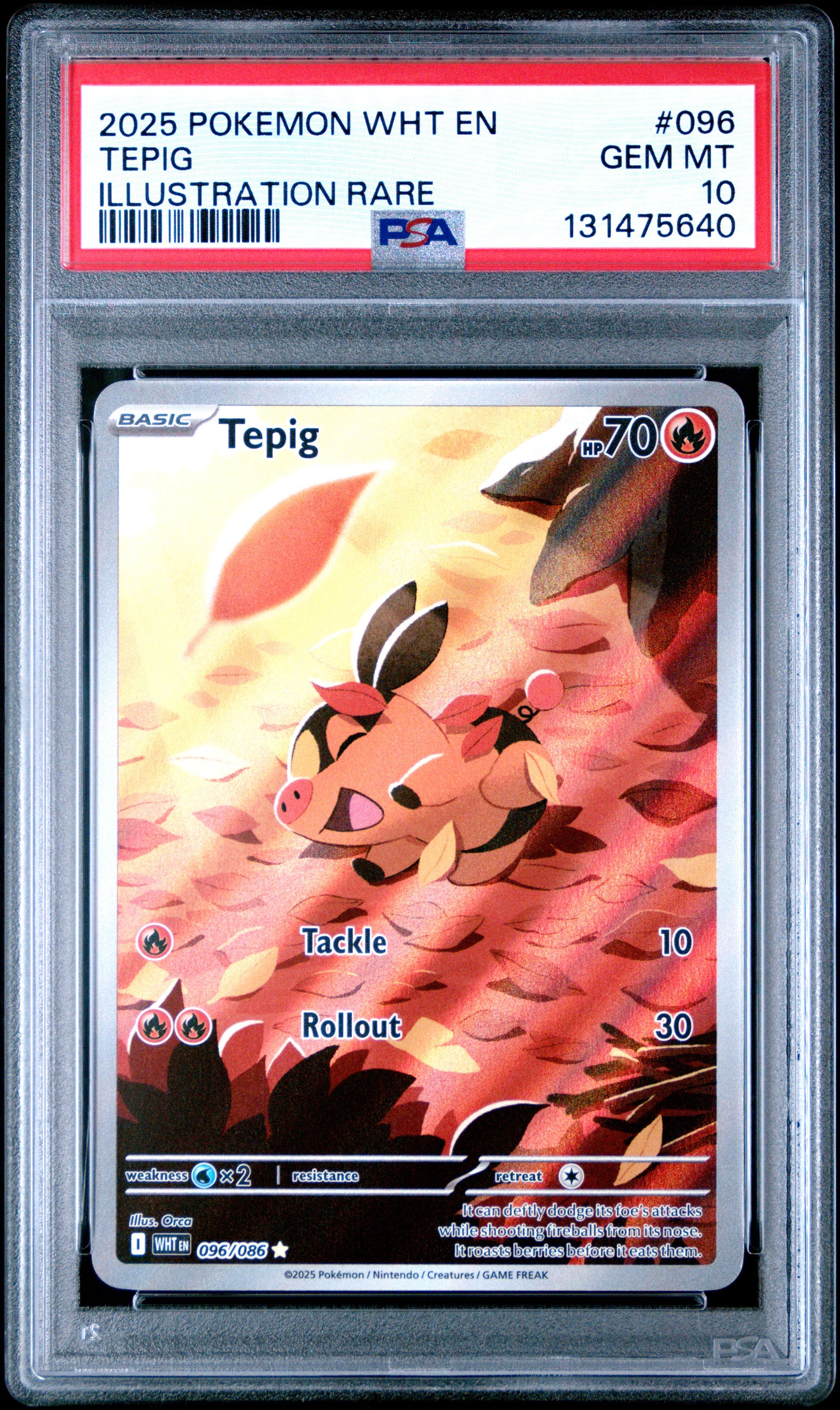 TEPIG