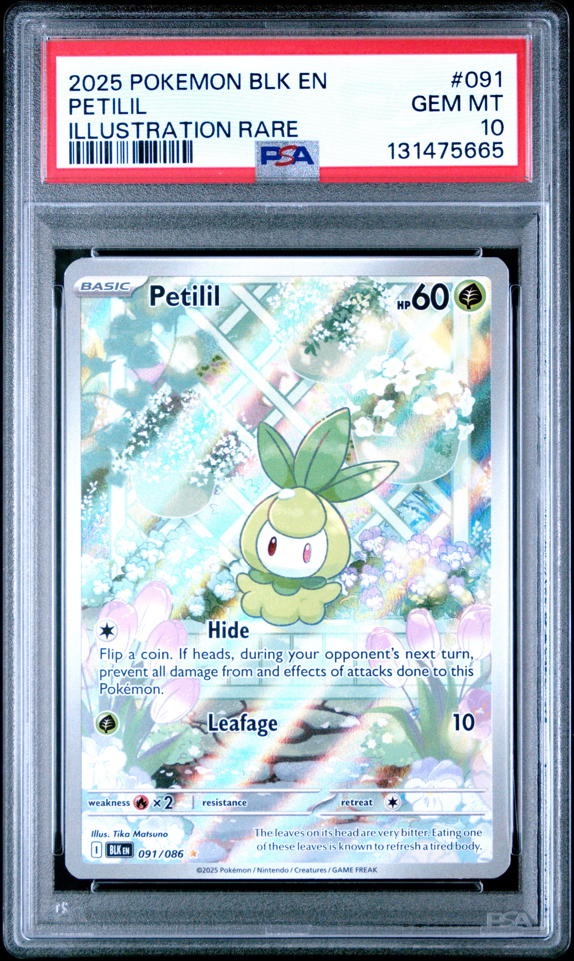 PETILIL