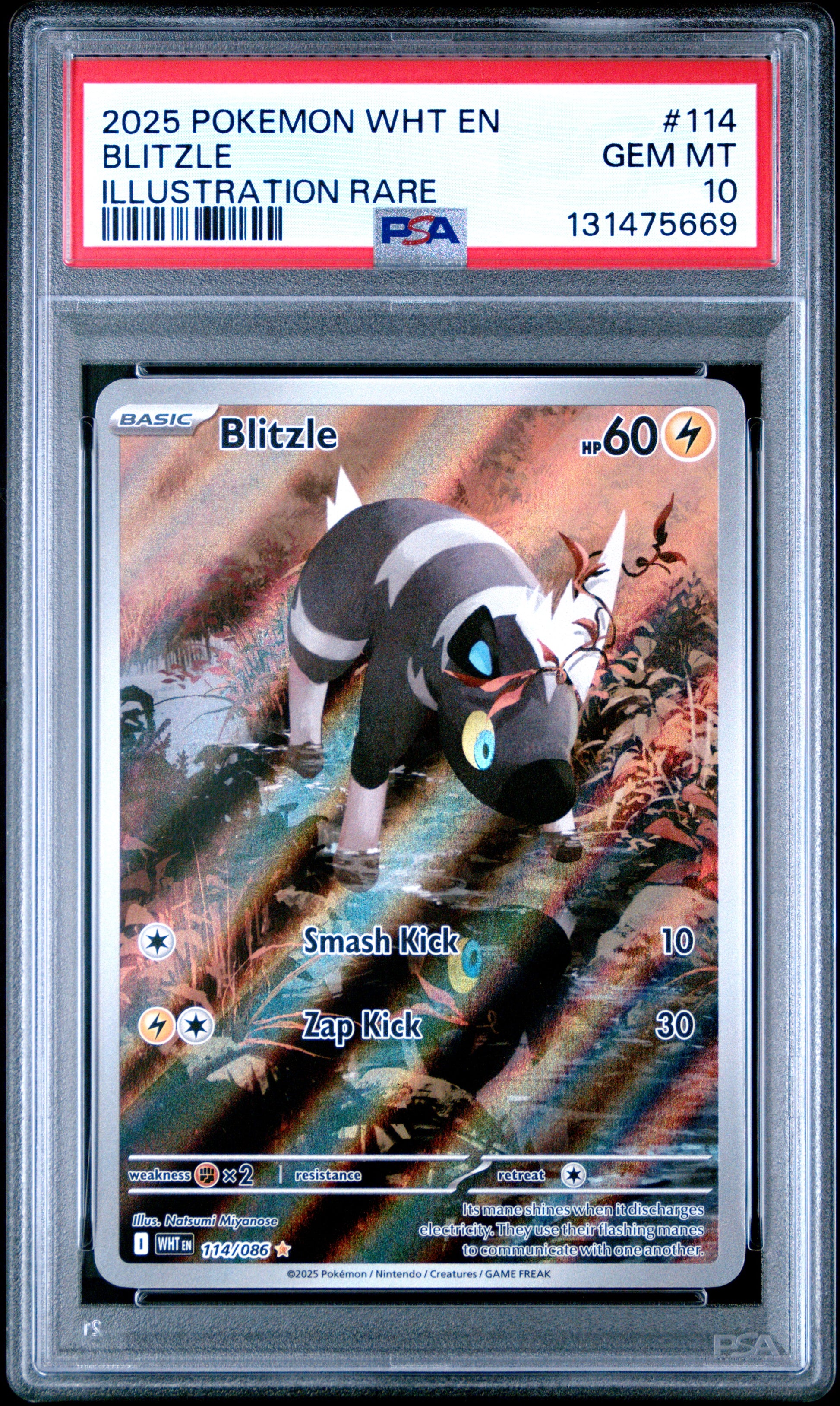 BLITZLE