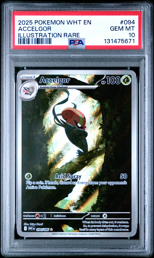 ACCELGOR