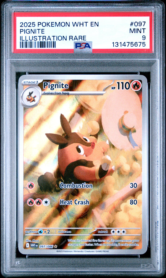 PIGNITE