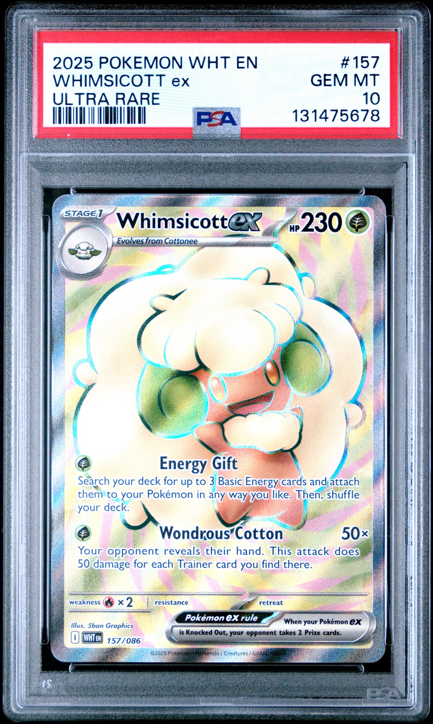 WHIMSICOTT ex