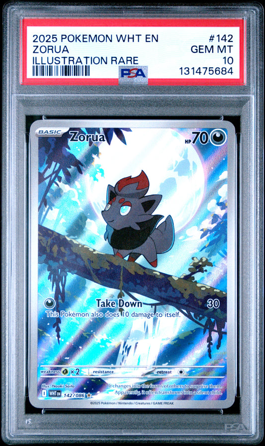 ZORUA
