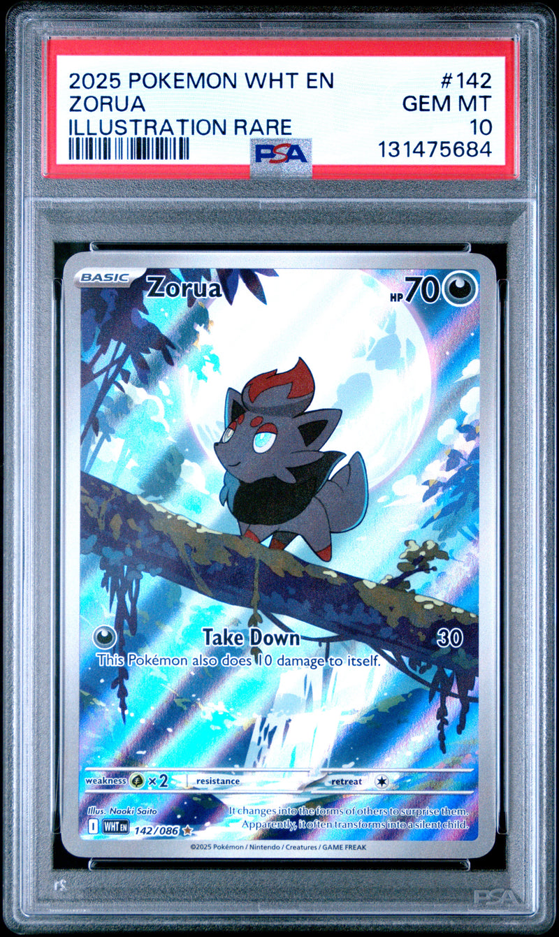 ZORUA