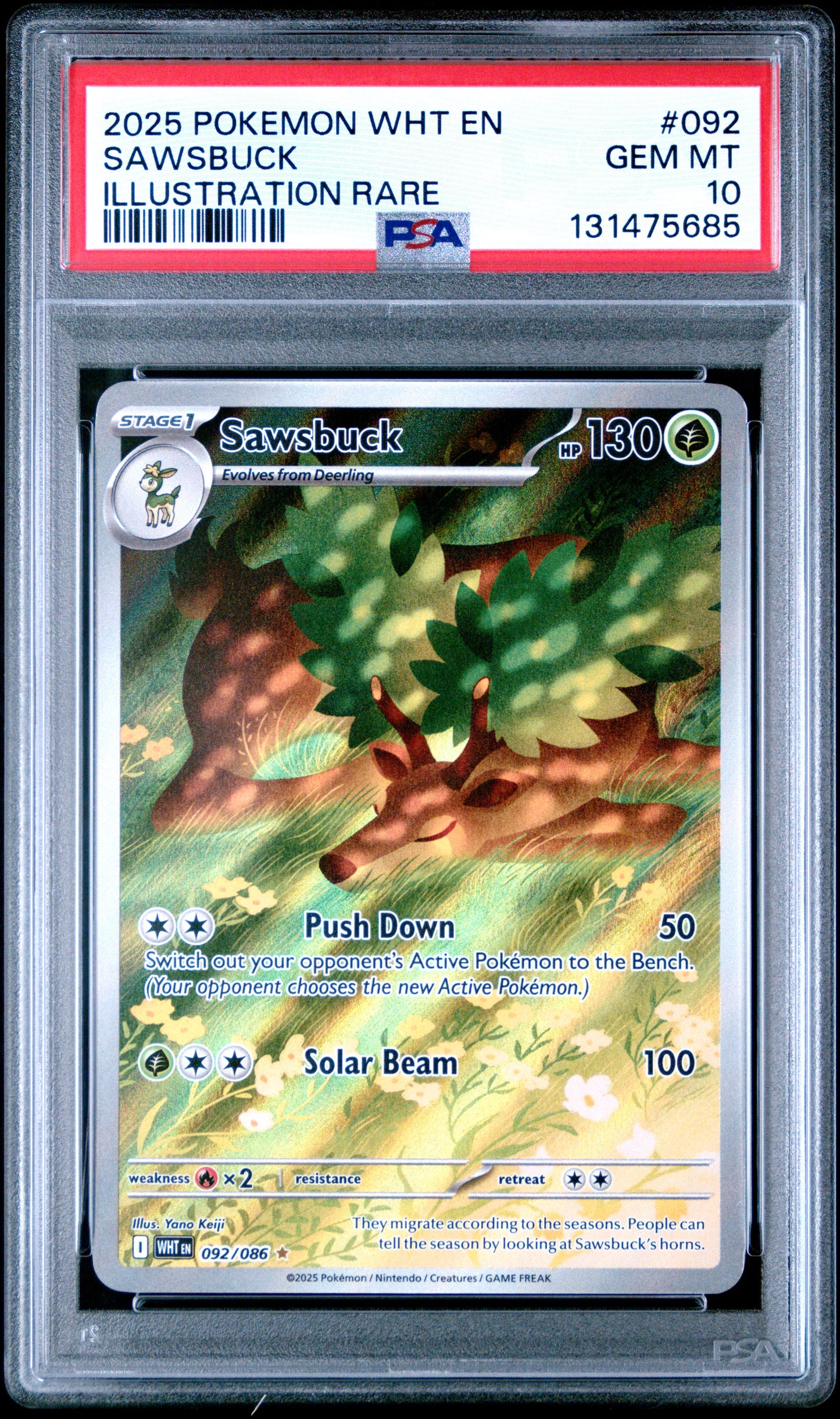 SAWSBUCK
