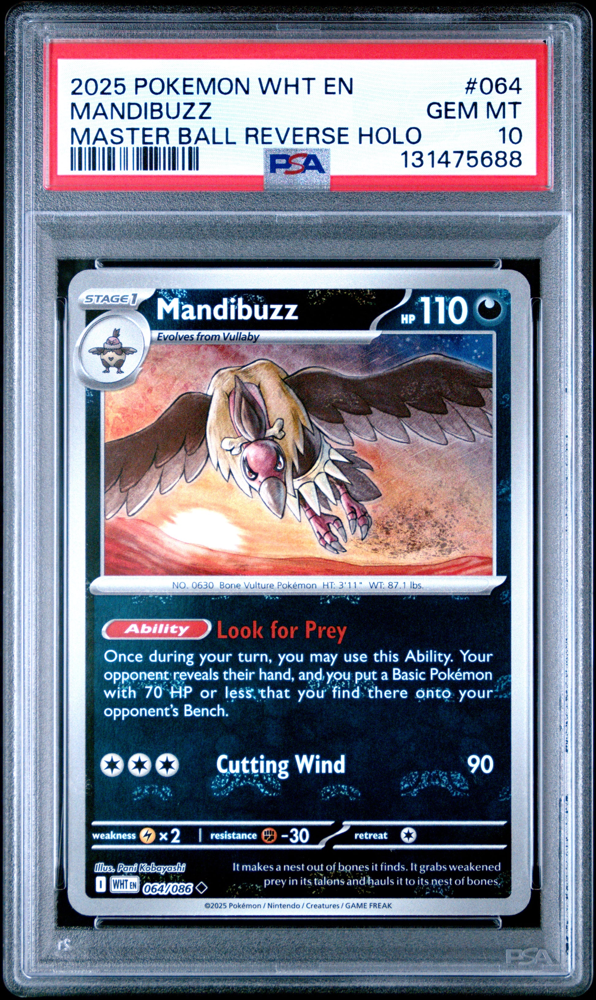 MANDIBUZZ