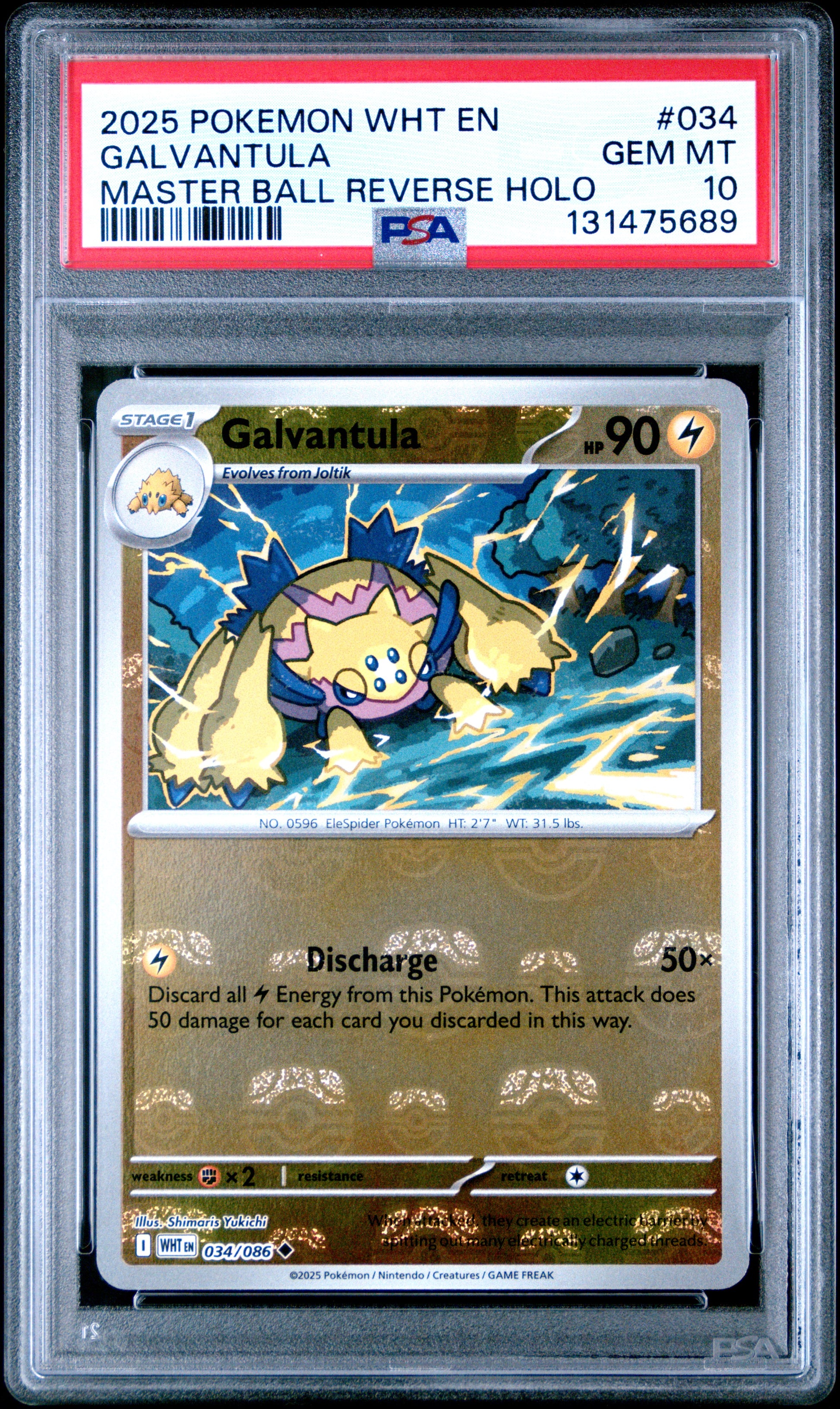 GALVANTULA