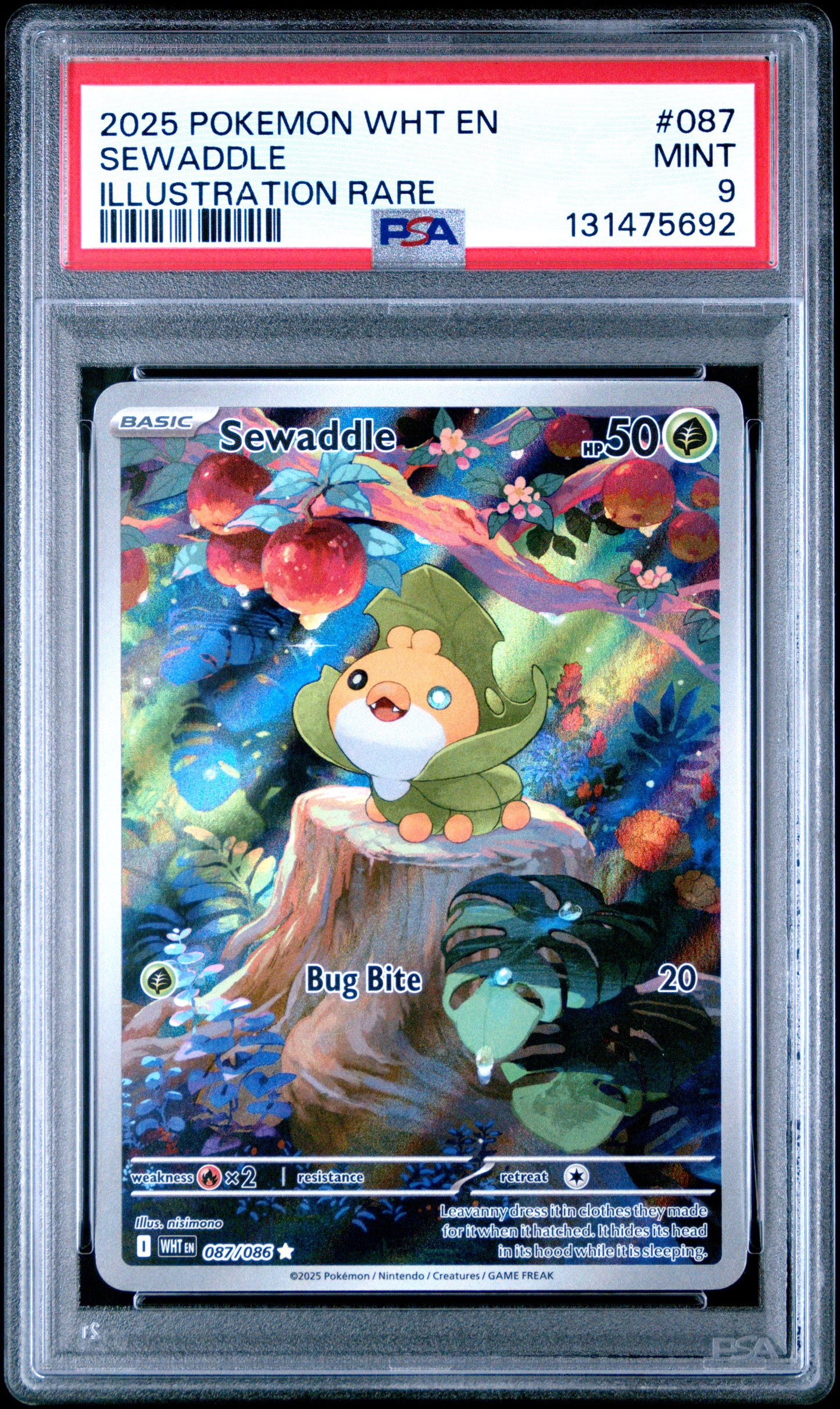 SEWADDLE