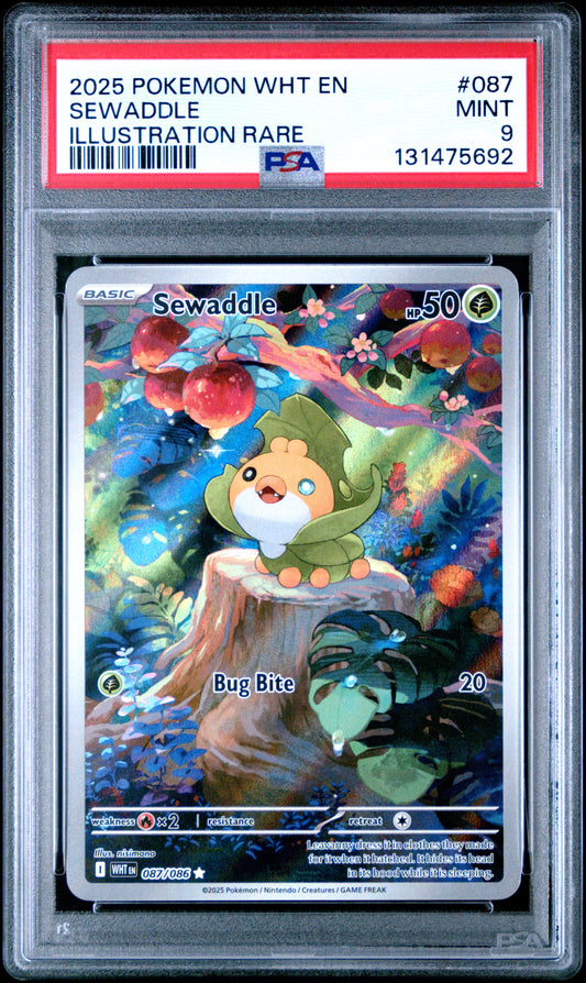 SEWADDLE