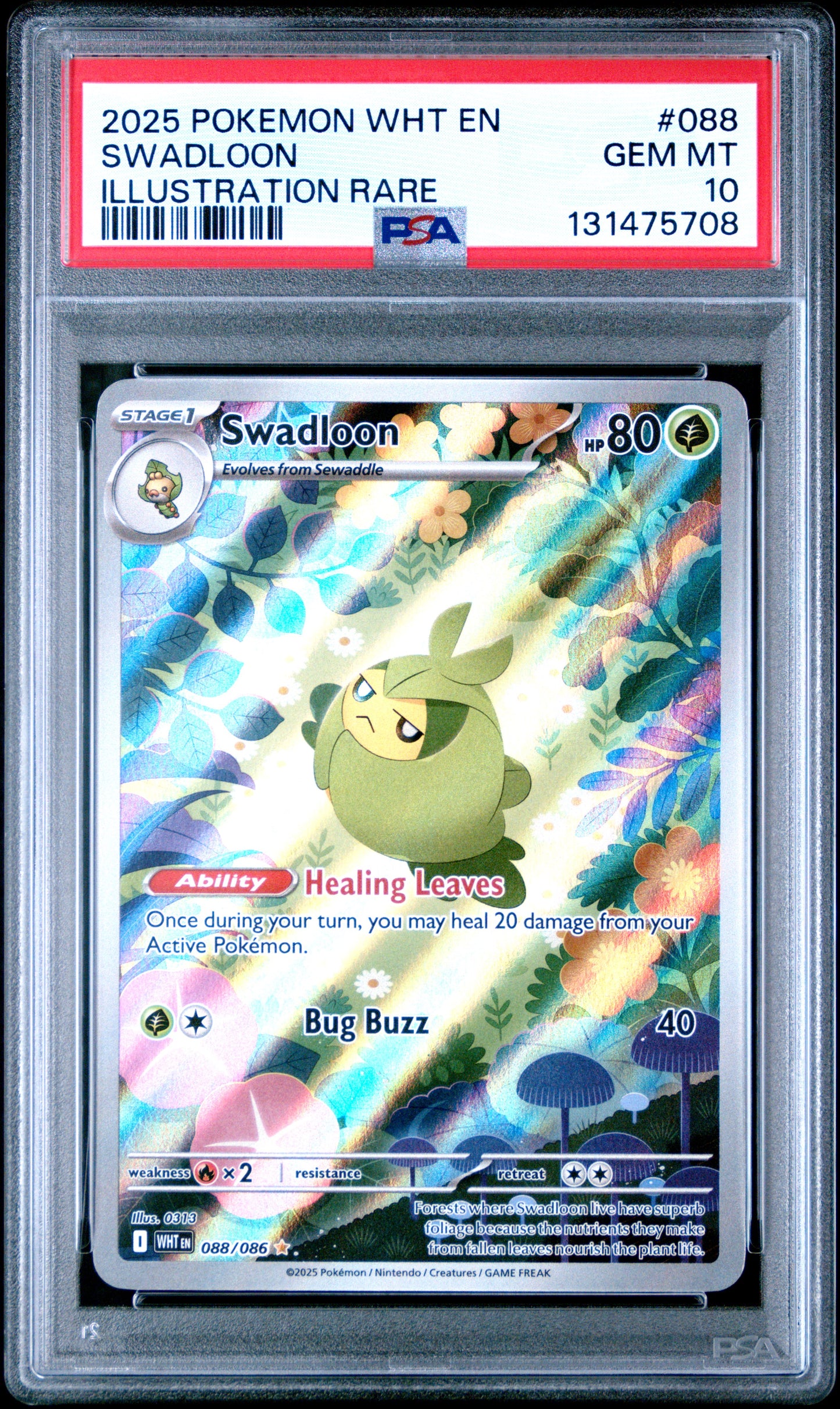SWADLOON