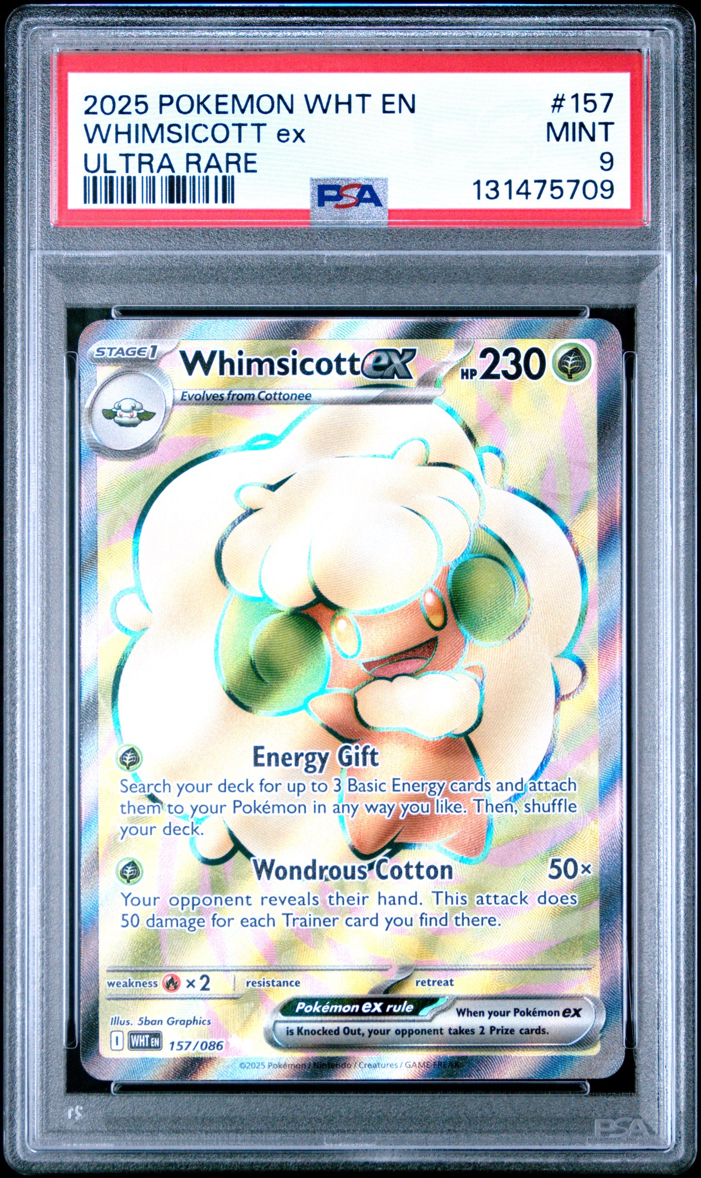 WHIMSICOTT ex