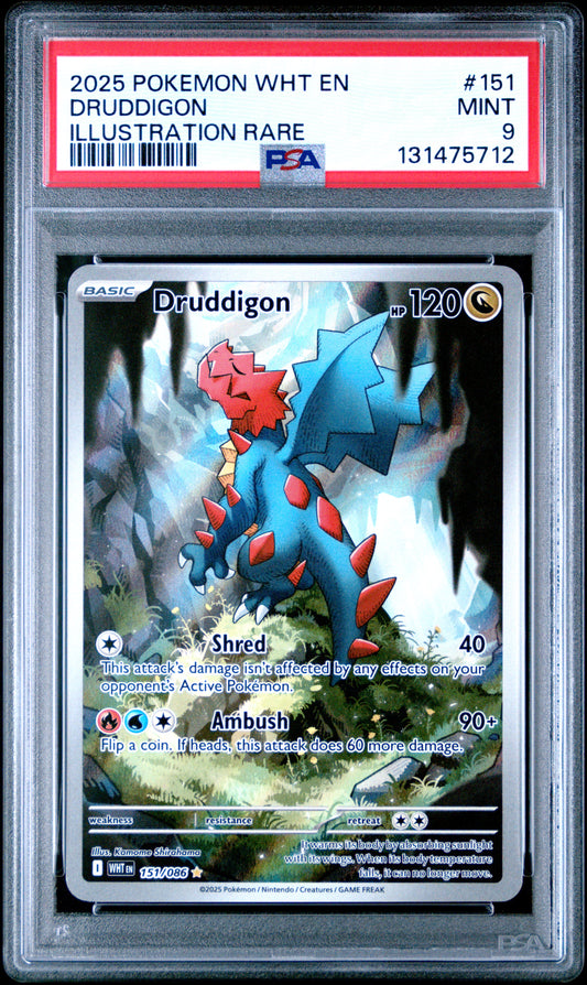 DRUDDIGON