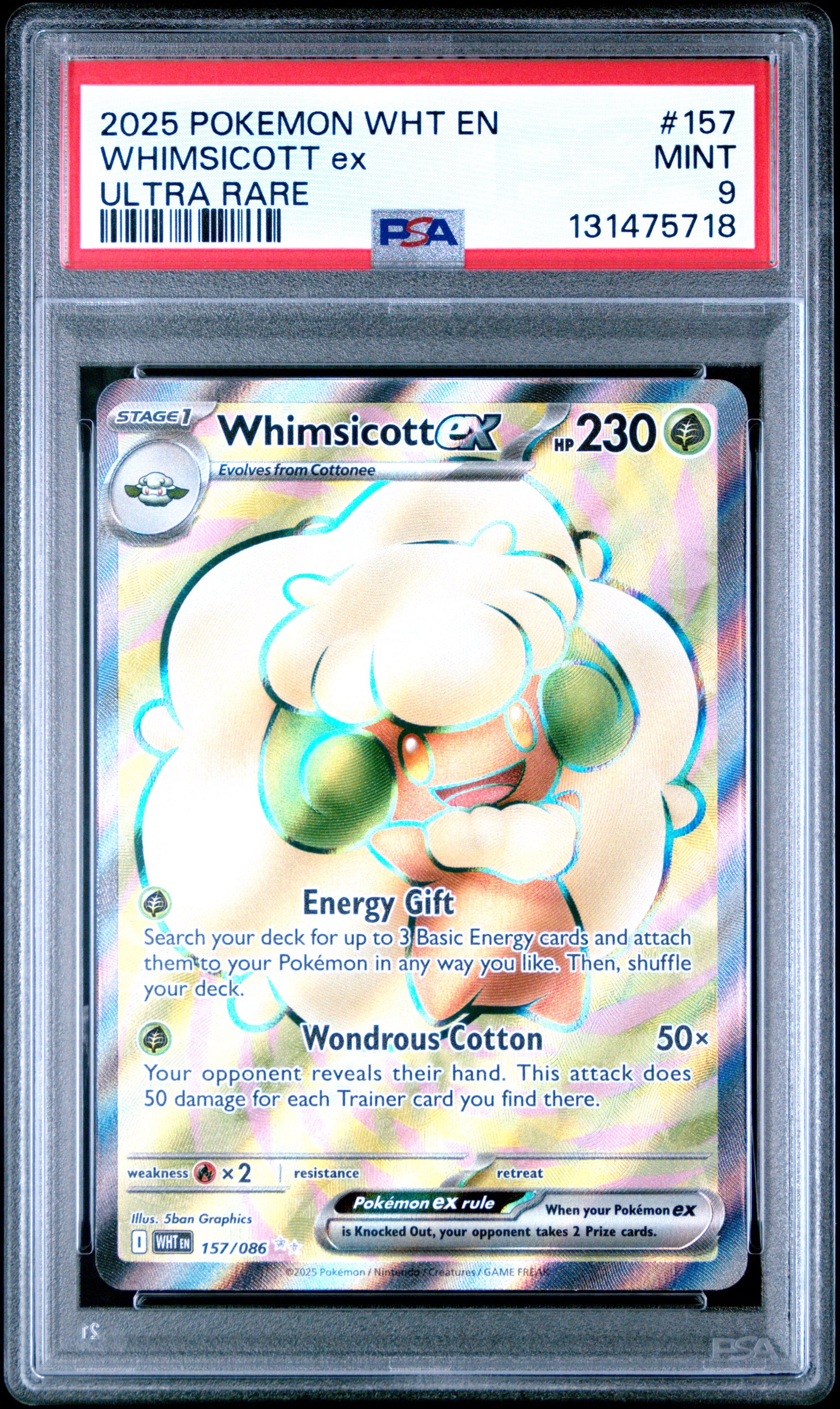WHIMSICOTT ex