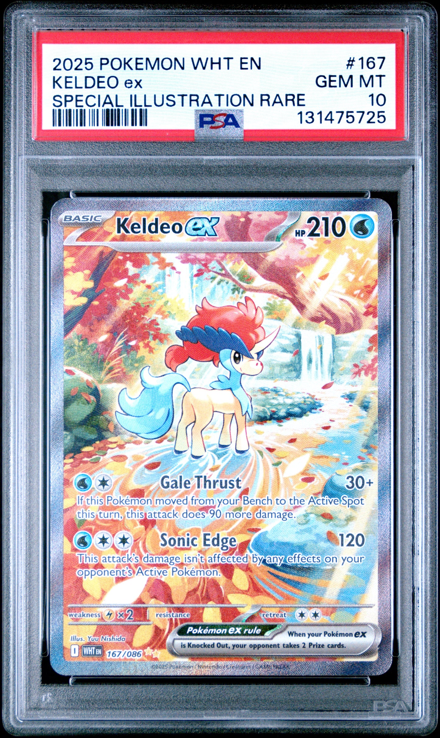 KELDEO ex