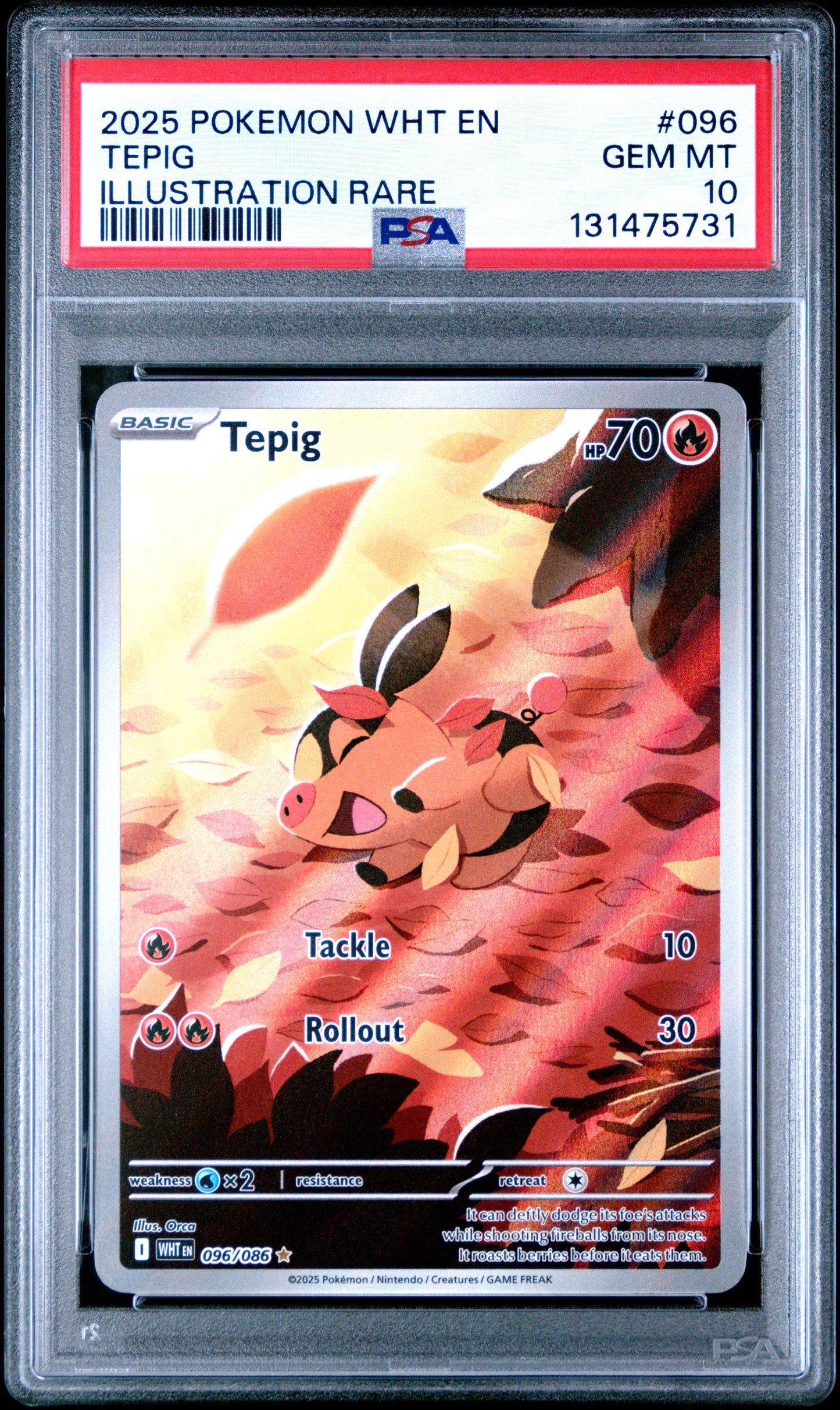 TEPIG