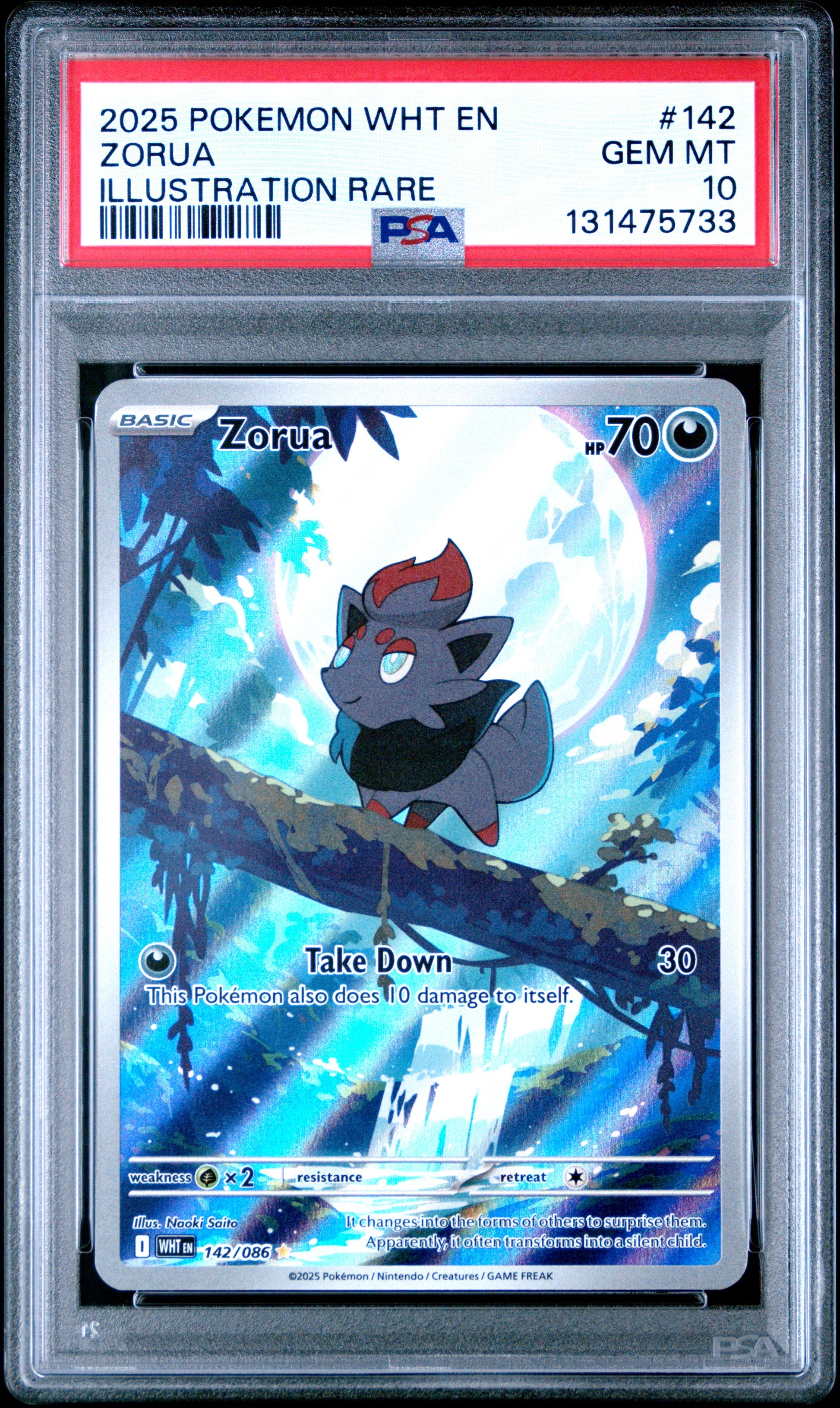 ZORUA