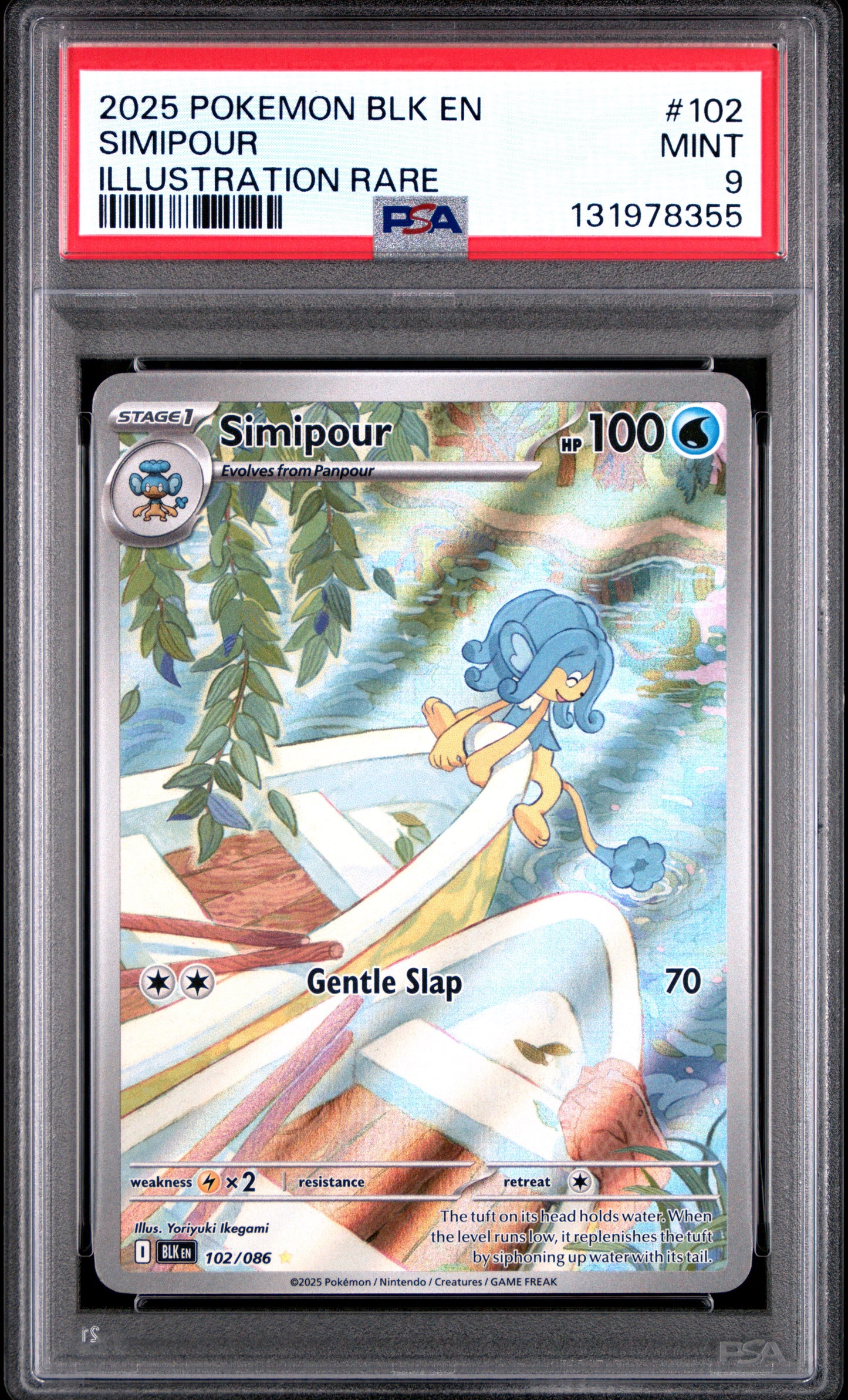 SIMIPOUR