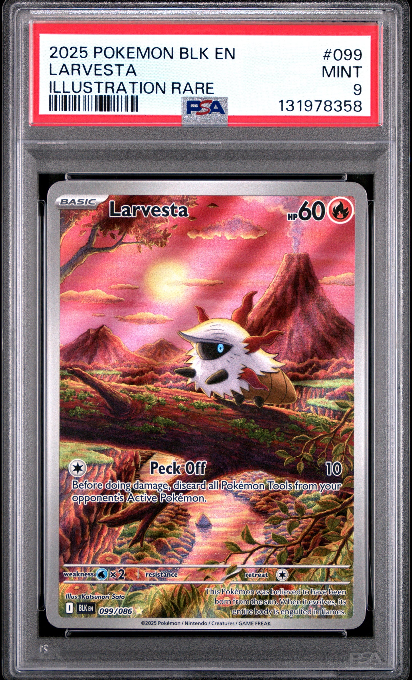 LARVESTA