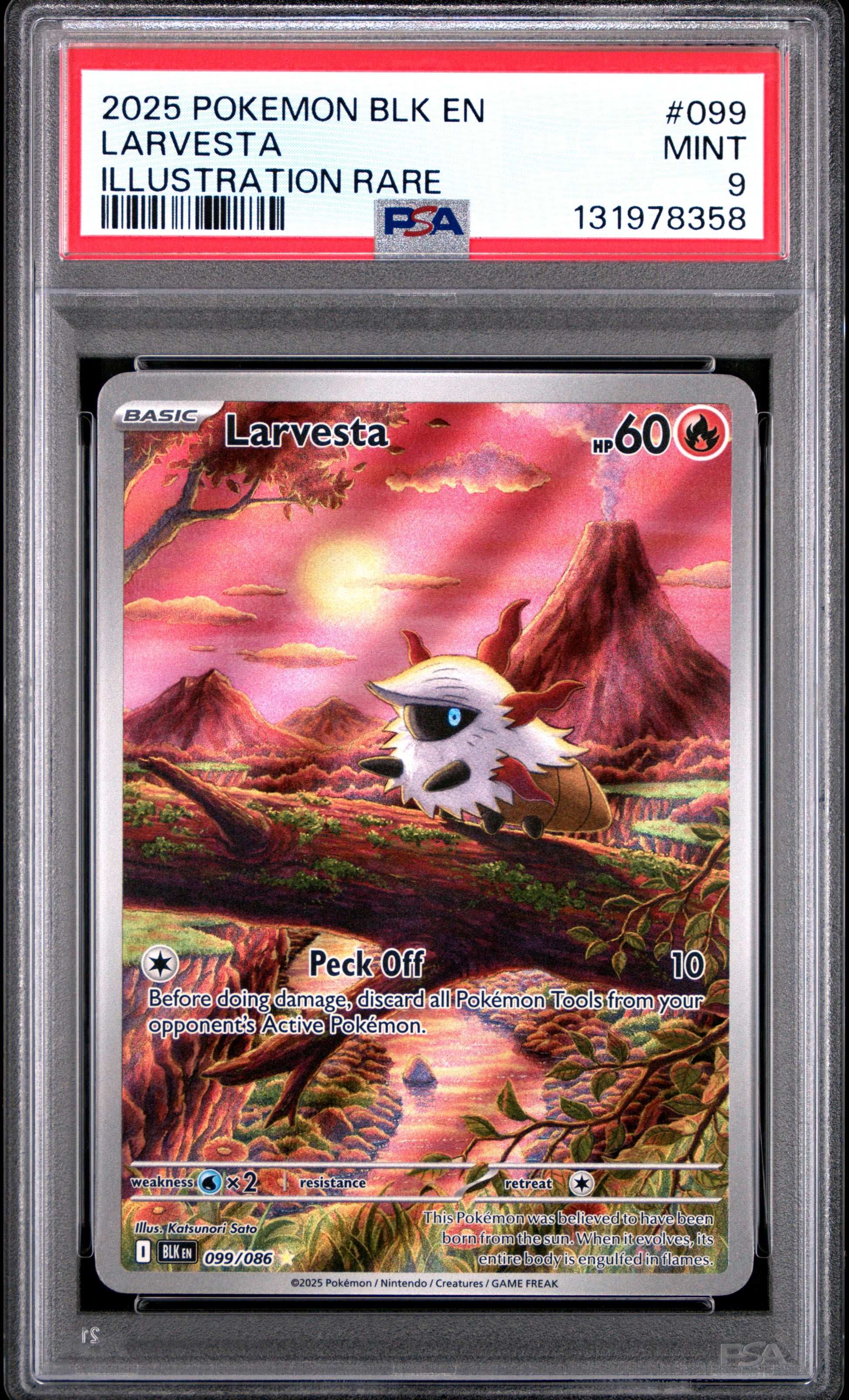 LARVESTA