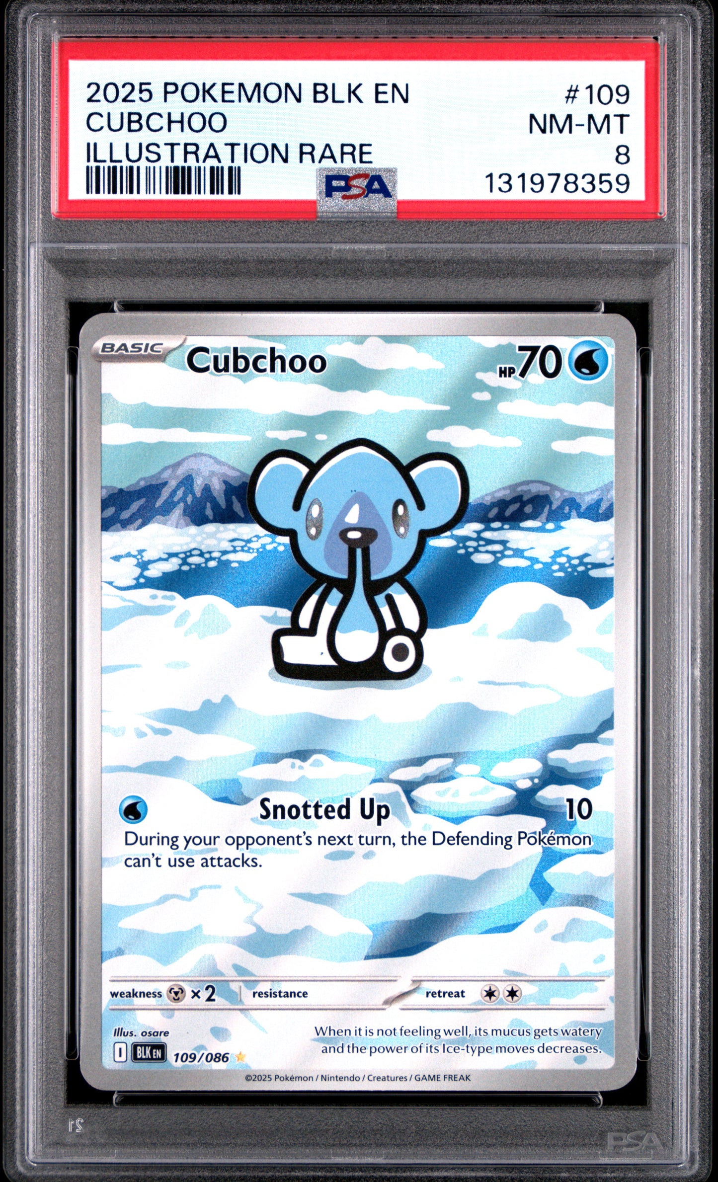 CUBCHOO