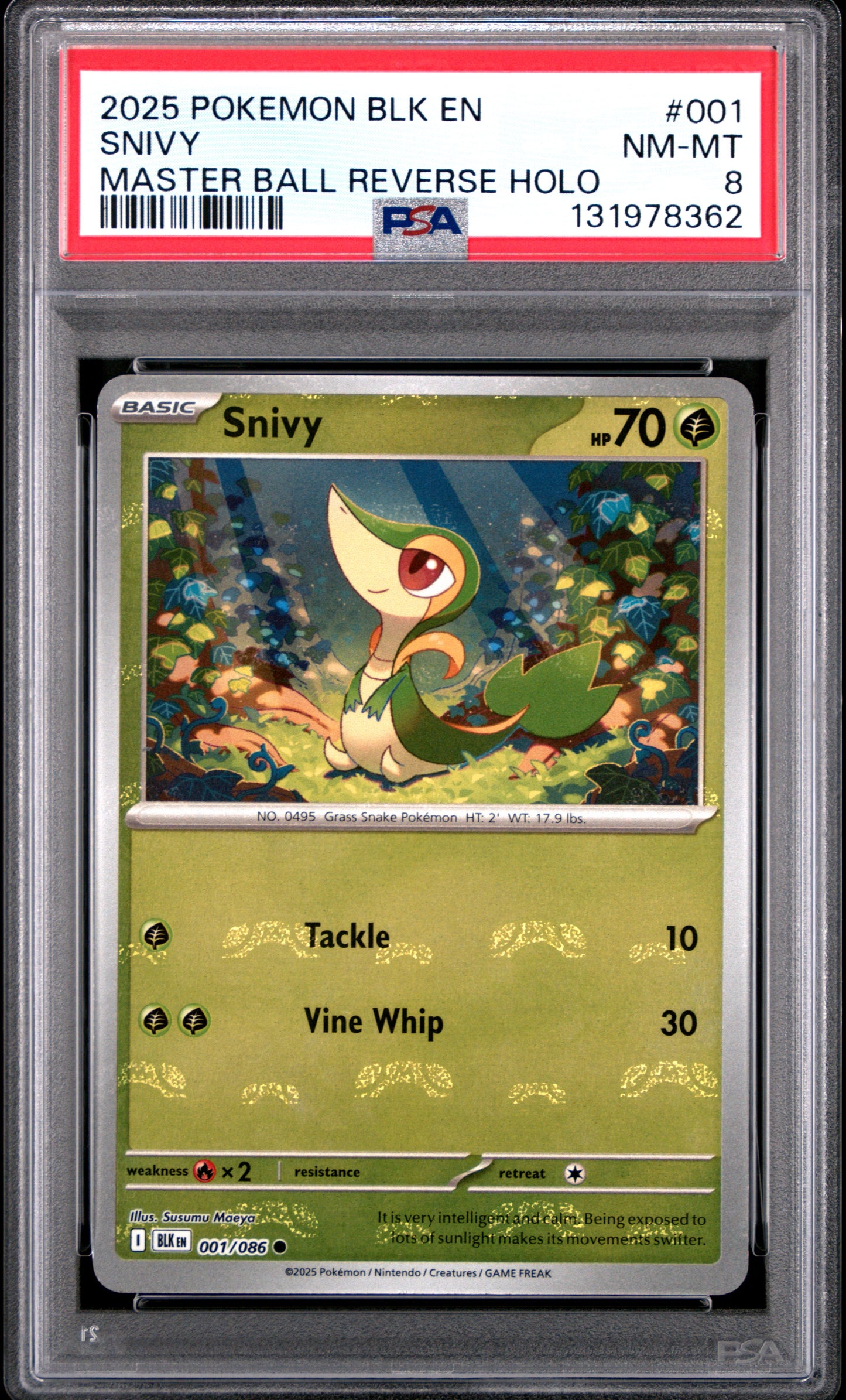 SNIVY