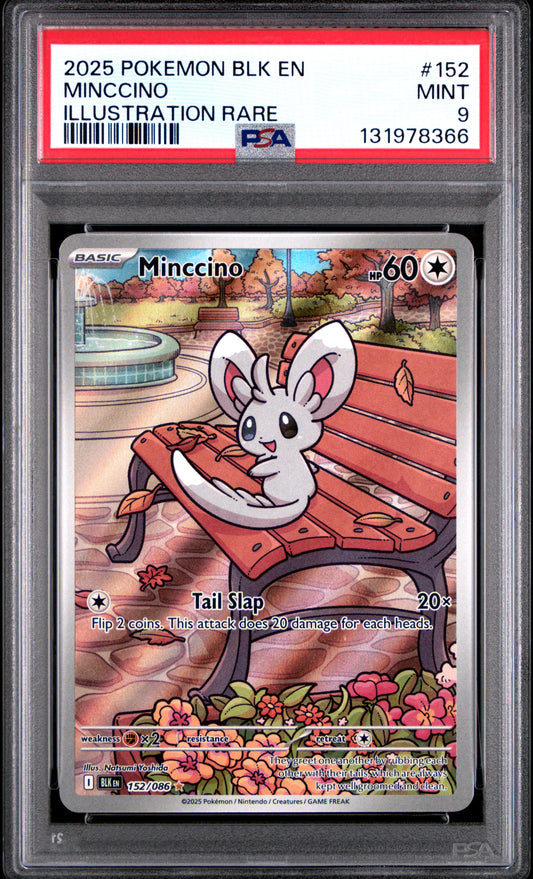 MINCCINO