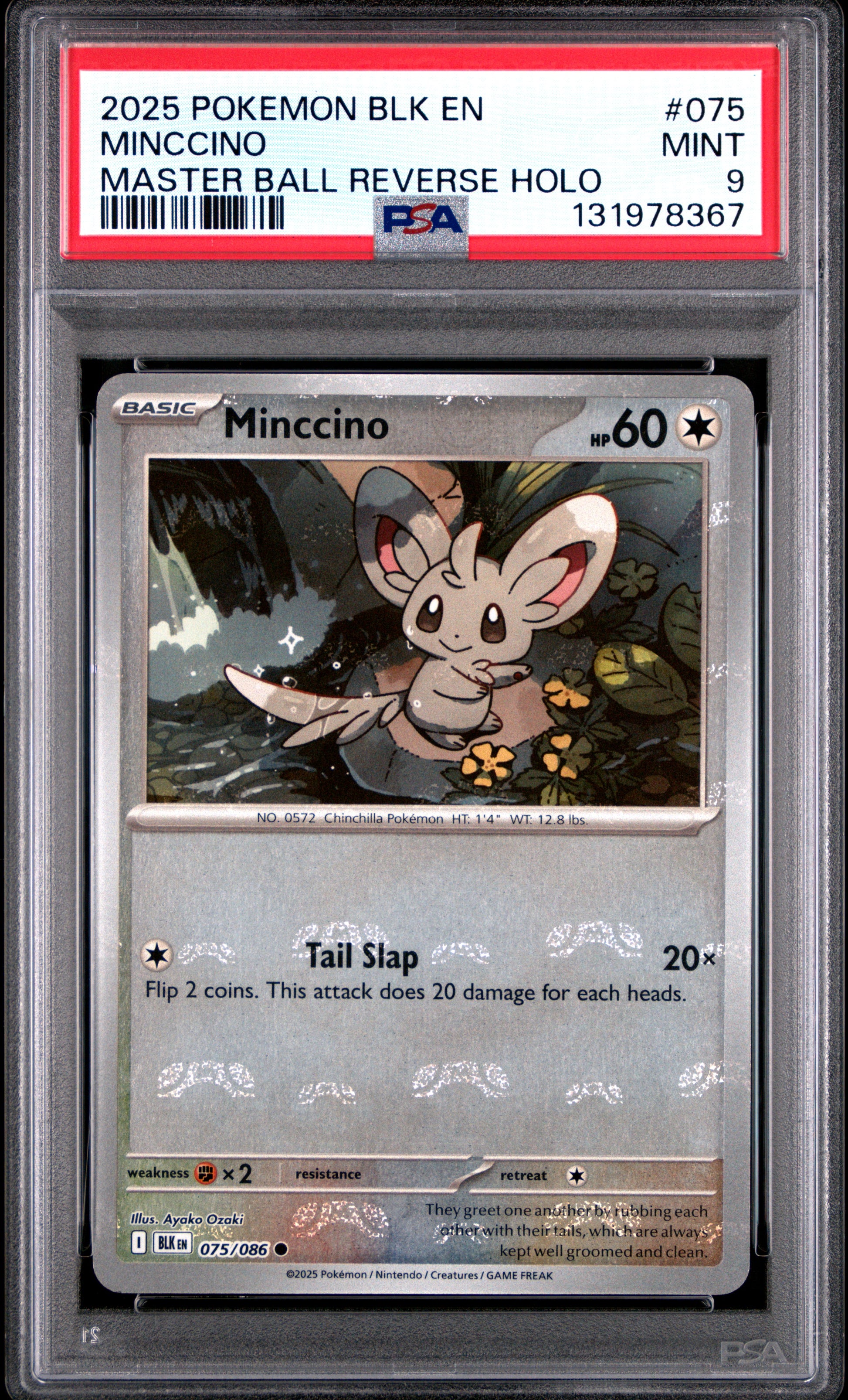MINCCINO