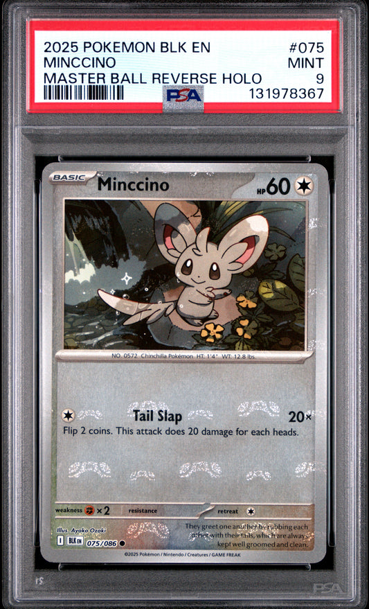 MINCCINO